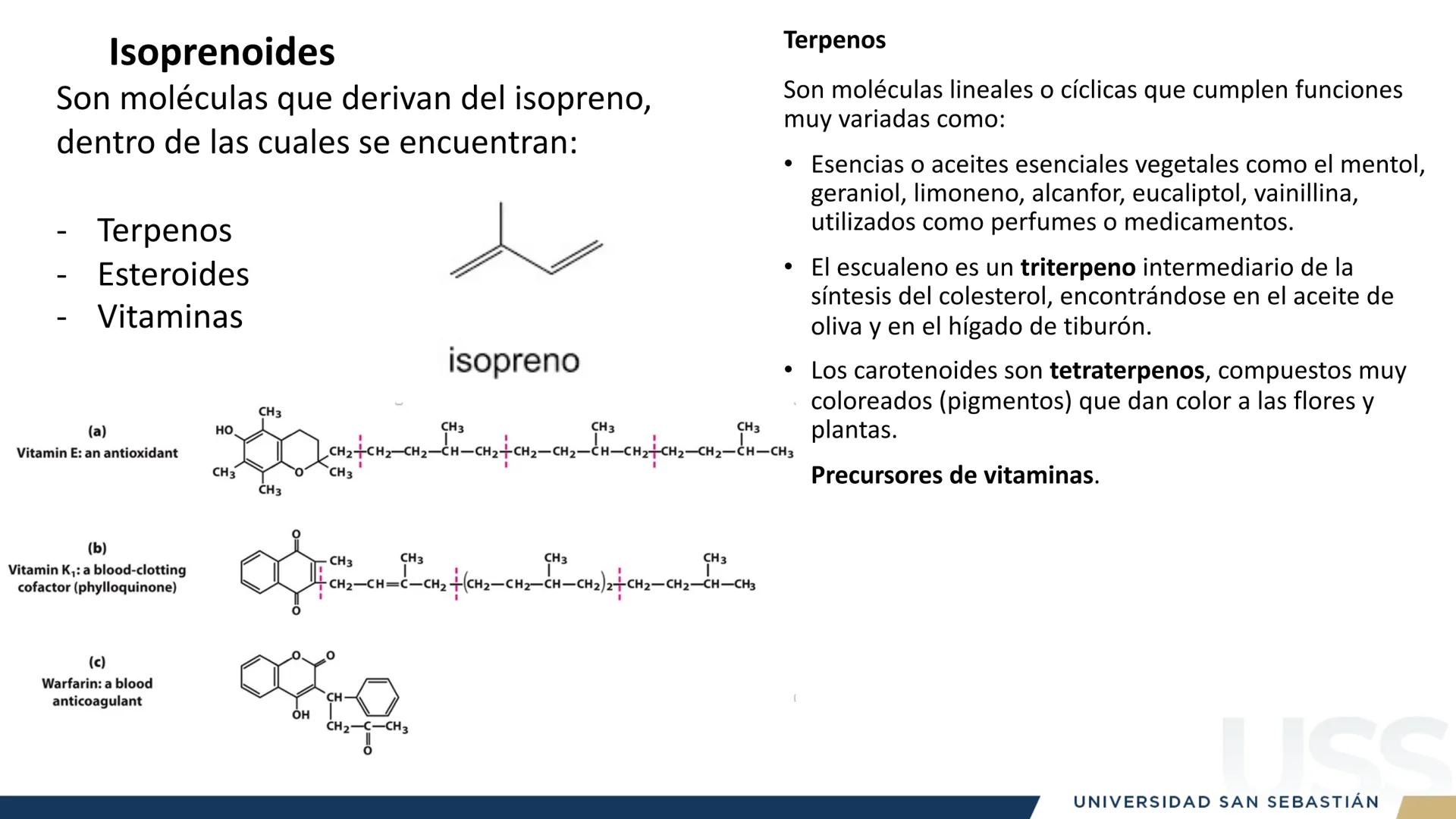 RAZON
VERDAD

+++
1989
UNIVERSIDAD
SAN SEBASTIAN
Ilumina el futuro

DBIO1092:
BIOQUÍMICA GENERAL
TEÓRICO RAZON
VERDAD
+++
1989
UNIVERSIDAD
S