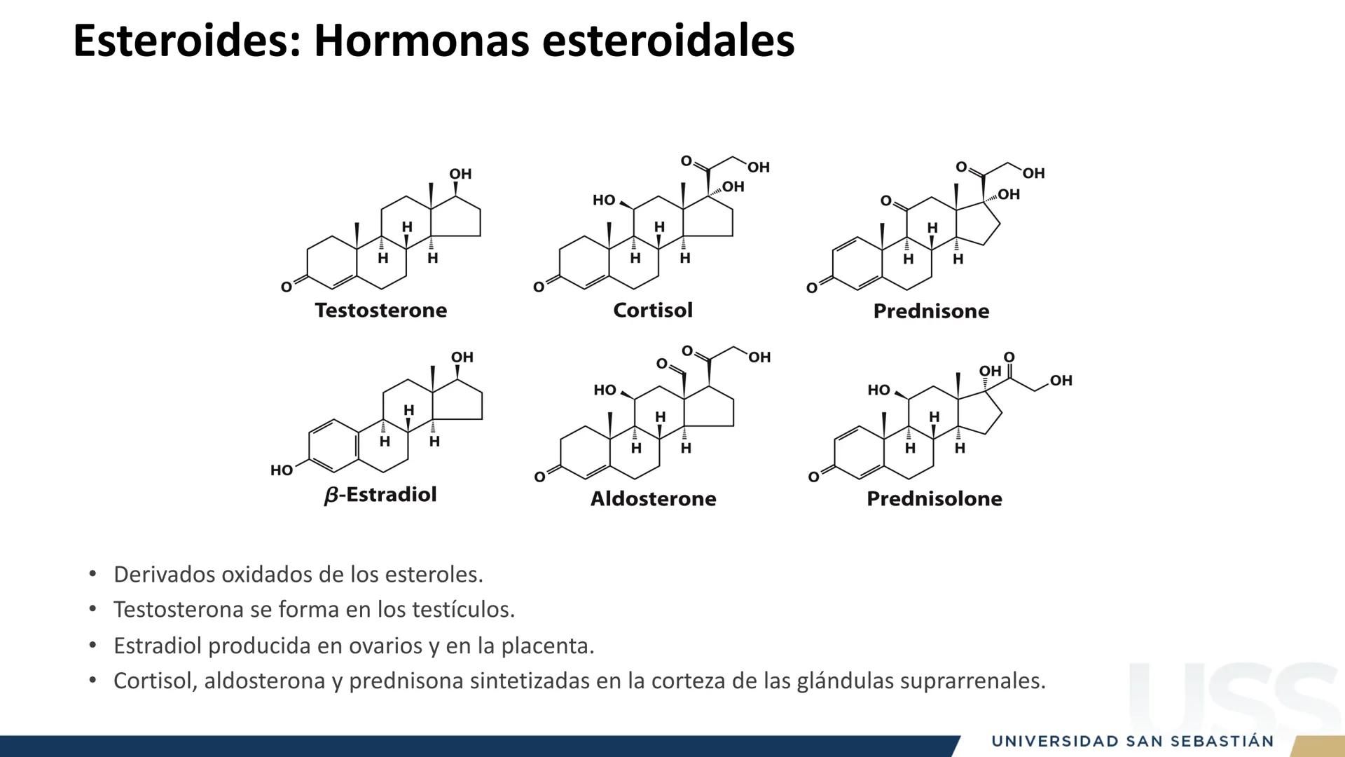 RAZON
VERDAD

+++
1989
UNIVERSIDAD
SAN SEBASTIAN
Ilumina el futuro

DBIO1092:
BIOQUÍMICA GENERAL
TEÓRICO RAZON
VERDAD
+++
1989
UNIVERSIDAD
S