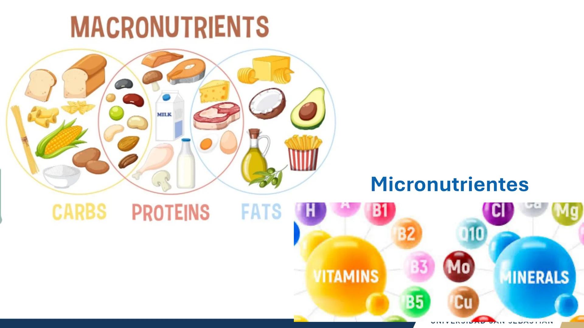 RAZON
VERDAD

+++
1989
UNIVERSIDAD
SAN SEBASTIAN
Ilumina el futuro

DBIO1092:
BIOQUÍMICA GENERAL
TEÓRICO RAZON
VERDAD
+++
1989
UNIVERSIDAD
S