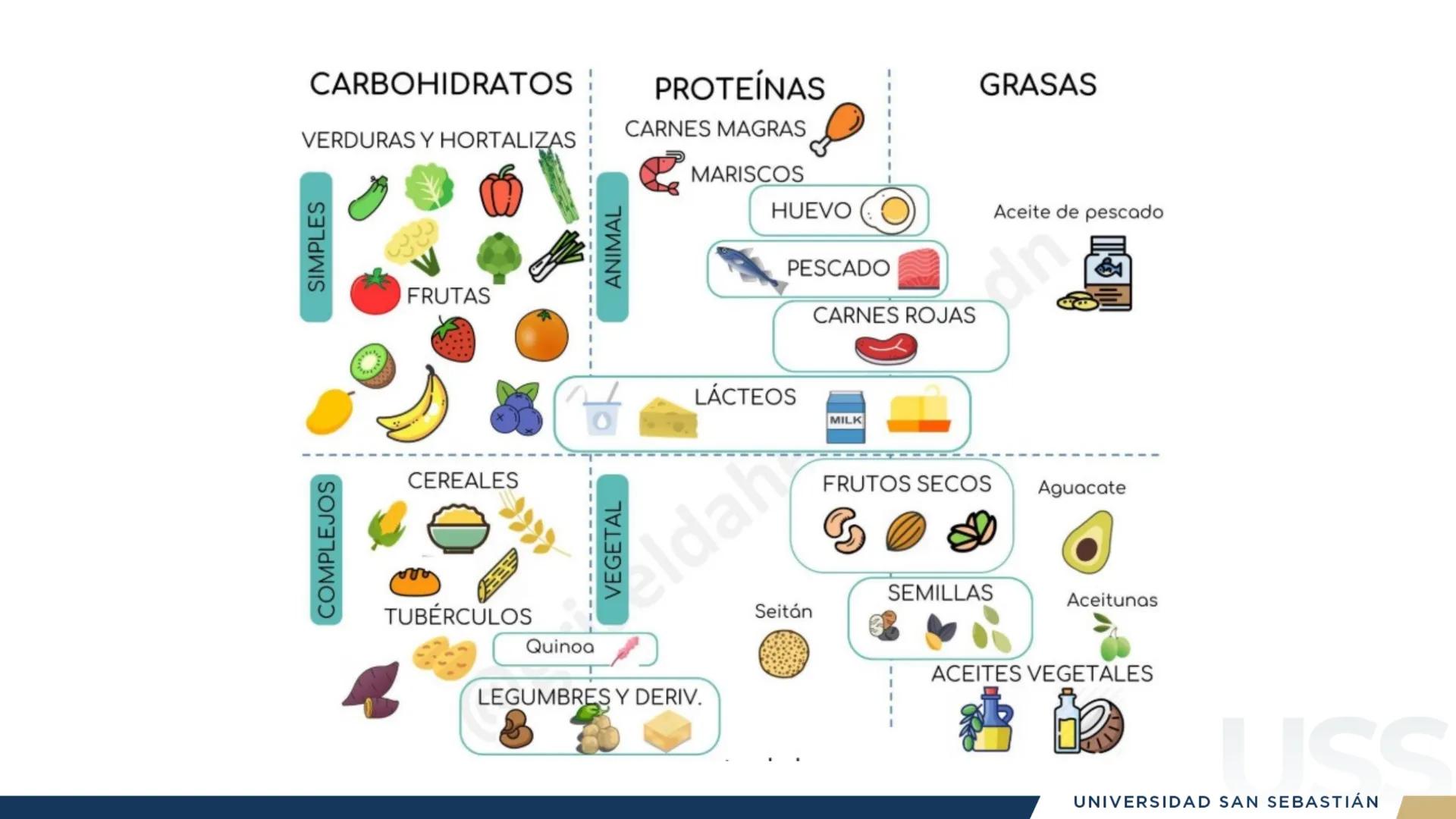 RAZON
VERDAD

+++
1989
UNIVERSIDAD
SAN SEBASTIAN
Ilumina el futuro

DBIO1092:
BIOQUÍMICA GENERAL
TEÓRICO RAZON
VERDAD
+++
1989
UNIVERSIDAD
S