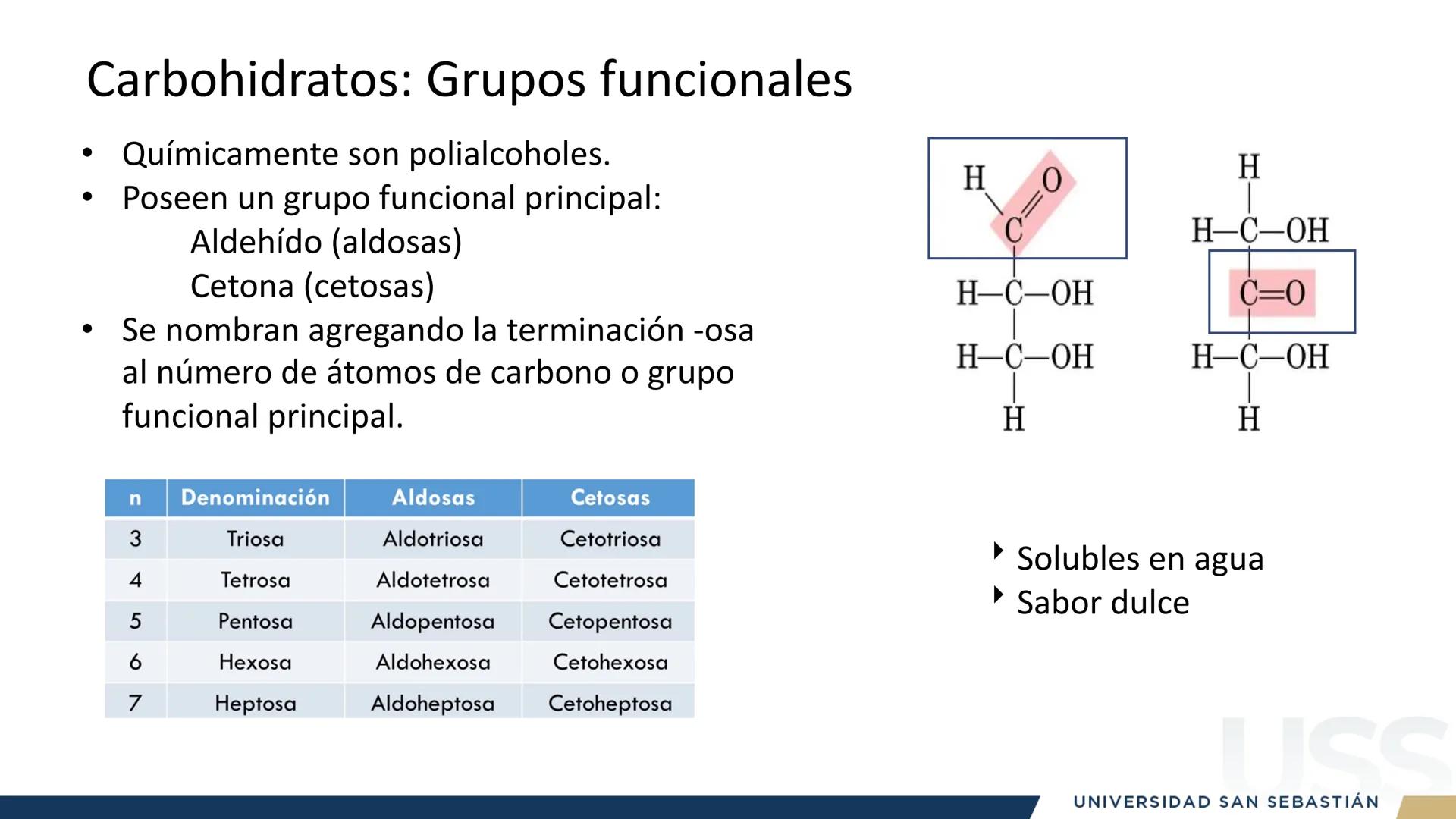RAZON
VERDAD

+++
1989
UNIVERSIDAD
SAN SEBASTIAN
Ilumina el futuro

DBIO1092:
BIOQUÍMICA GENERAL
TEÓRICO RAZON
VERDAD
+++
1989
UNIVERSIDAD
S