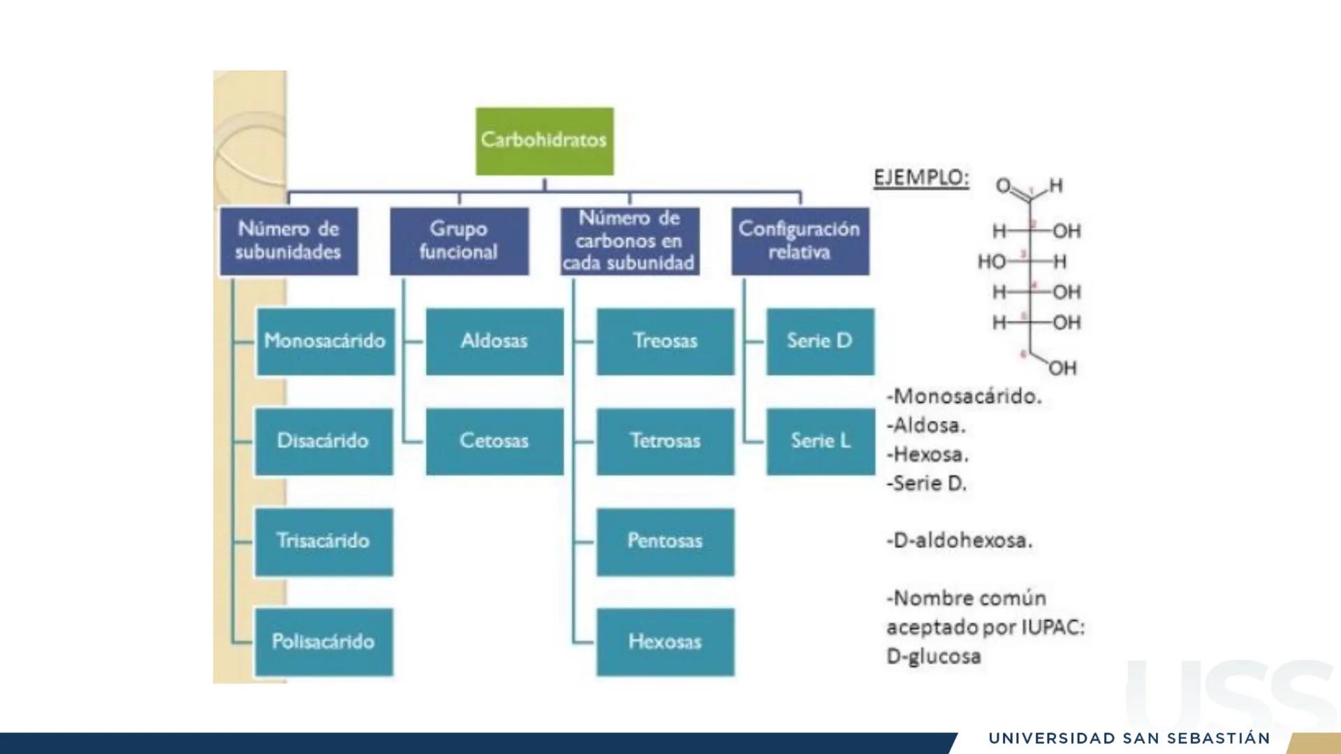 RAZON
VERDAD

+++
1989
UNIVERSIDAD
SAN SEBASTIAN
Ilumina el futuro

DBIO1092:
BIOQUÍMICA GENERAL
TEÓRICO RAZON
VERDAD
+++
1989
UNIVERSIDAD
S