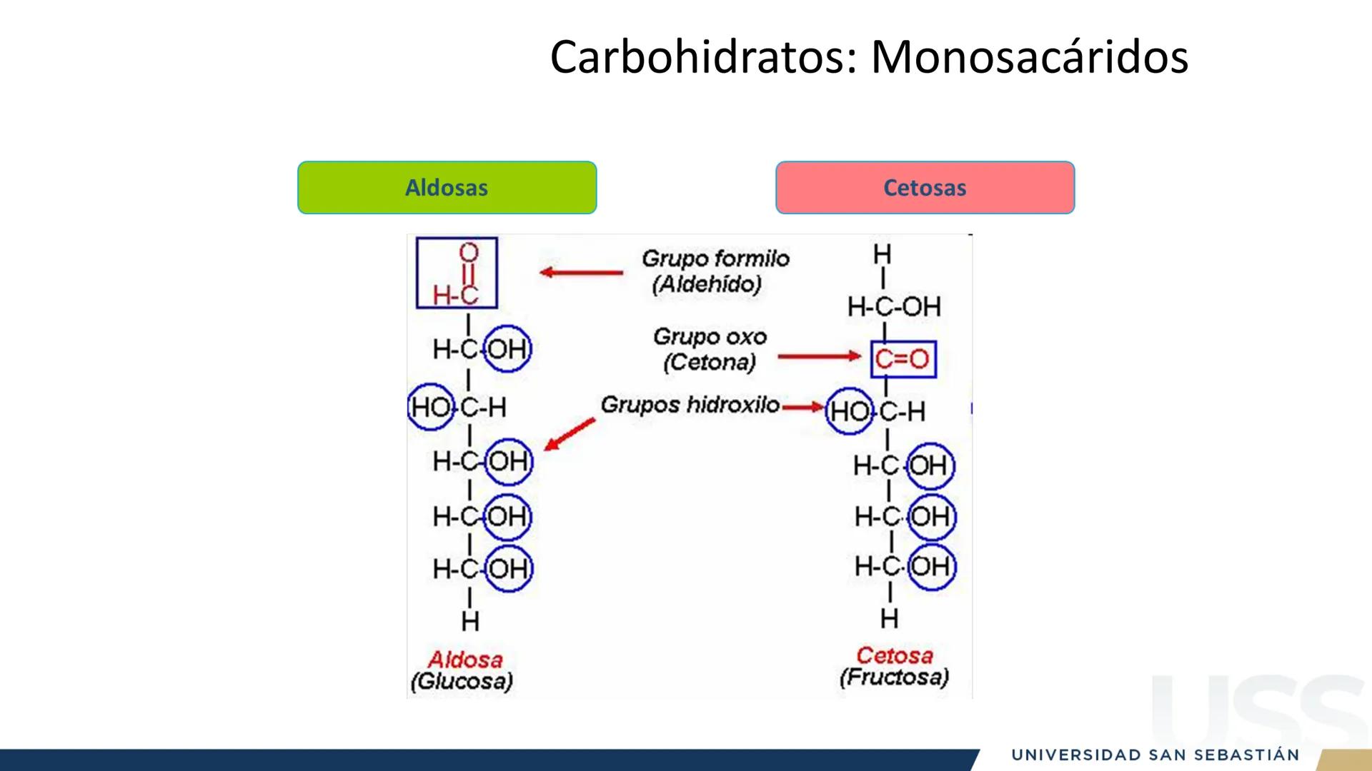 RAZON
VERDAD

+++
1989
UNIVERSIDAD
SAN SEBASTIAN
Ilumina el futuro

DBIO1092:
BIOQUÍMICA GENERAL
TEÓRICO RAZON
VERDAD
+++
1989
UNIVERSIDAD
S