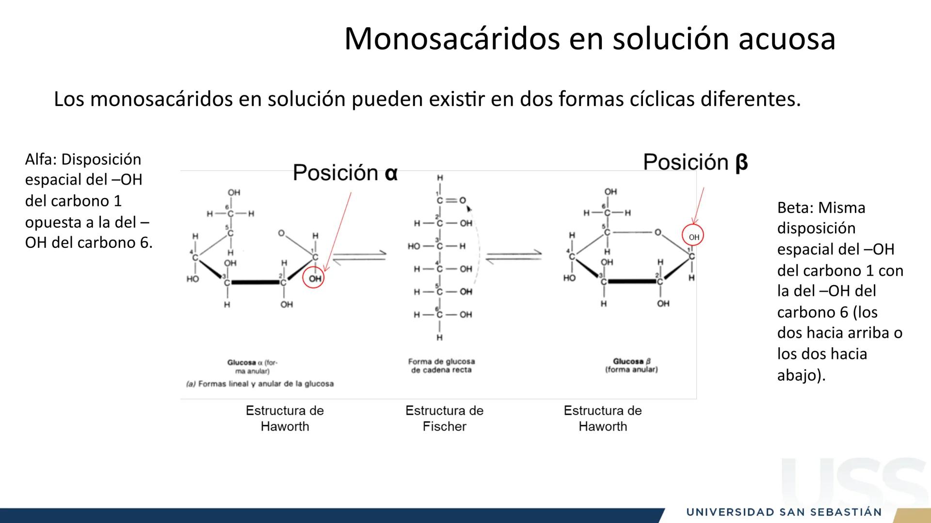 RAZON
VERDAD

+++
1989
UNIVERSIDAD
SAN SEBASTIAN
Ilumina el futuro

DBIO1092:
BIOQUÍMICA GENERAL
TEÓRICO RAZON
VERDAD
+++
1989
UNIVERSIDAD
S