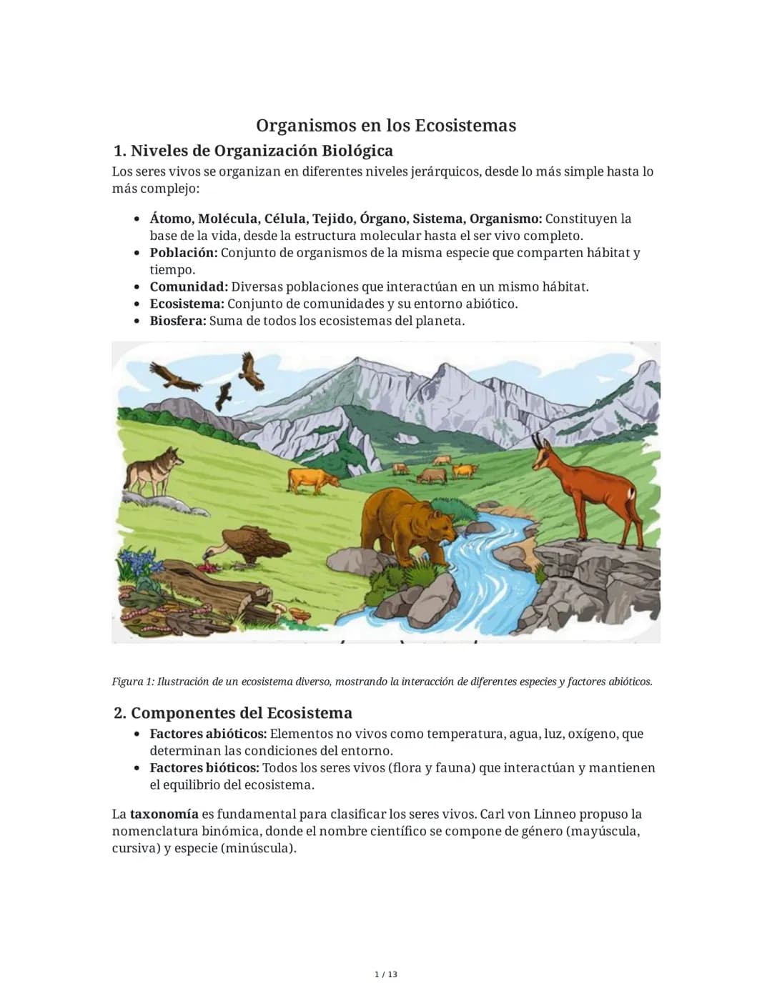 Organismos en los Ecosistemas
1. Niveles de Organización Biológica
Los seres vivos se organizan en diferentes niveles jerárquicos, desde lo 