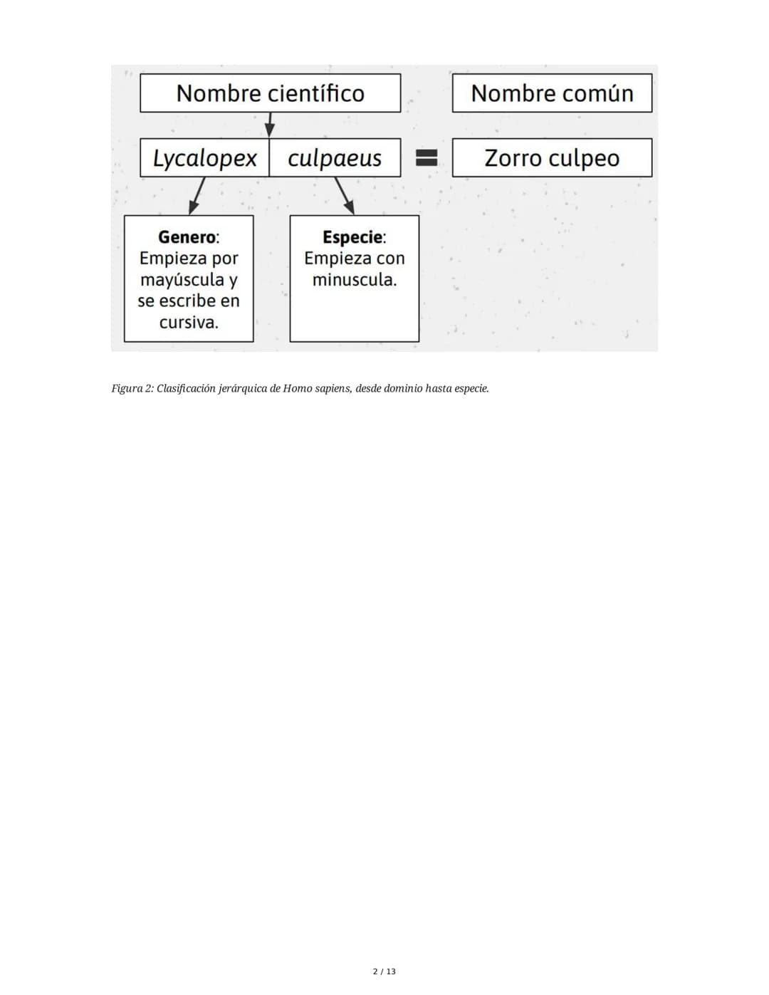 Organismos en los Ecosistemas
1. Niveles de Organización Biológica
Los seres vivos se organizan en diferentes niveles jerárquicos, desde lo 