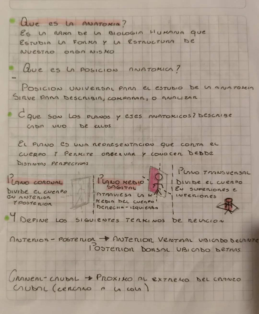 # Que es la anatomia?
Es un rama de la Biologi humana que estudia la forma y la estructura de nuestro organnismo

# Que es la posicion anato