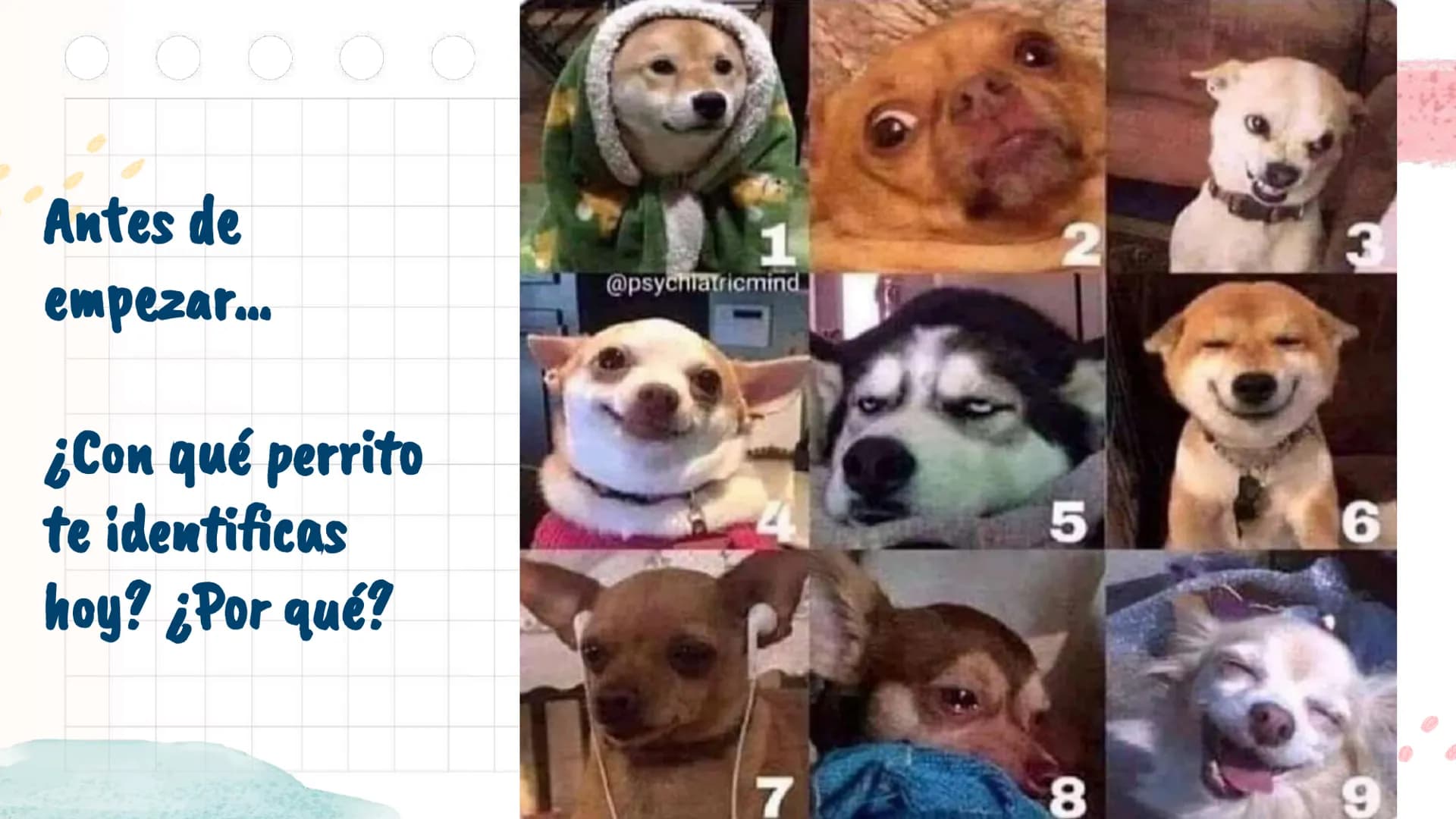 # La Colonia en

América y en Chile

Unidad 2 Antes de
emprezar...
¿Con qué perrito
te identificas
1
2
3
@psychiatricmind
4
5
6
hoy? ¿Por qu