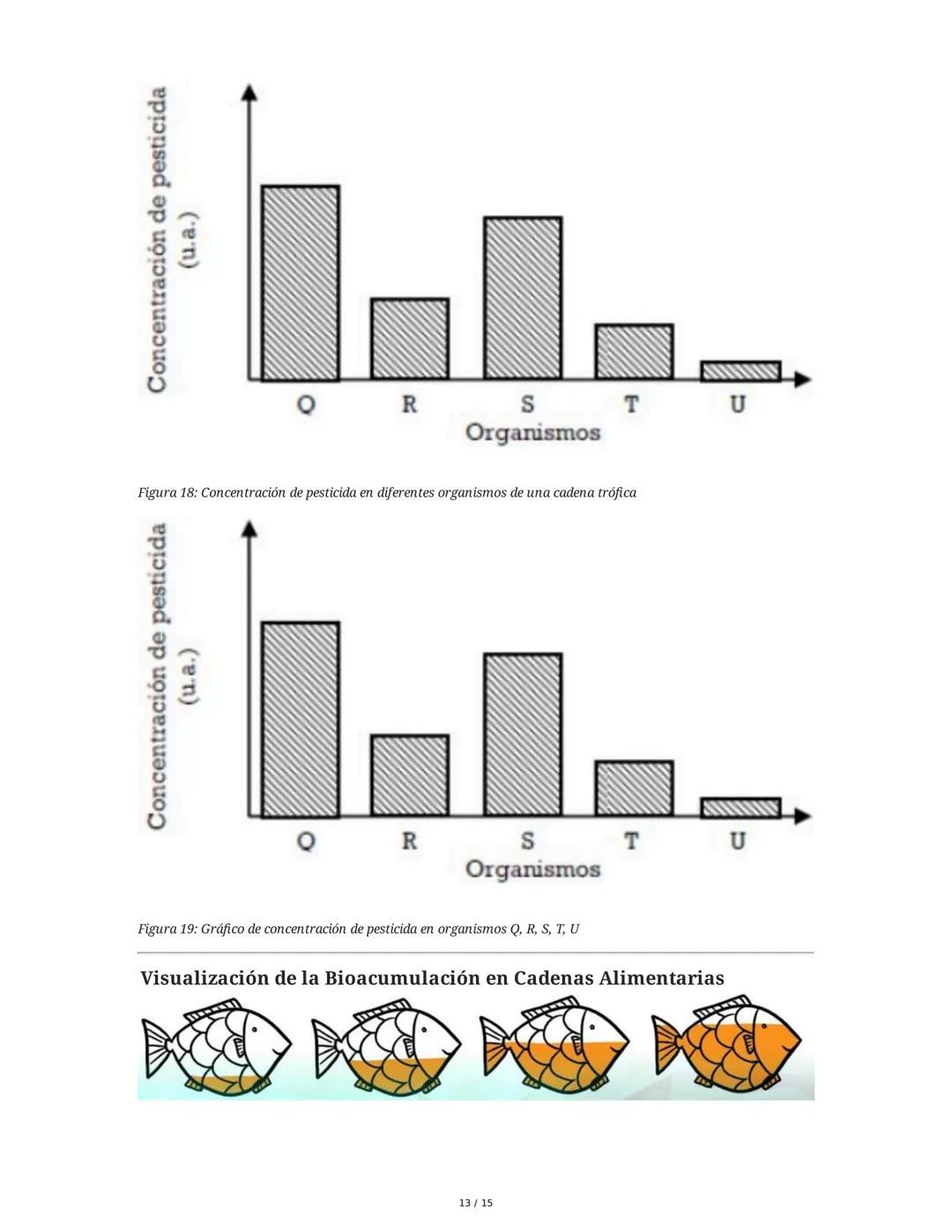 Módulo Ambiente y Sostenibilidad
Concepto: Cambio Climático
1. Impacto del Cambio Climático en el Agua del Planeta
El cambio climático afect