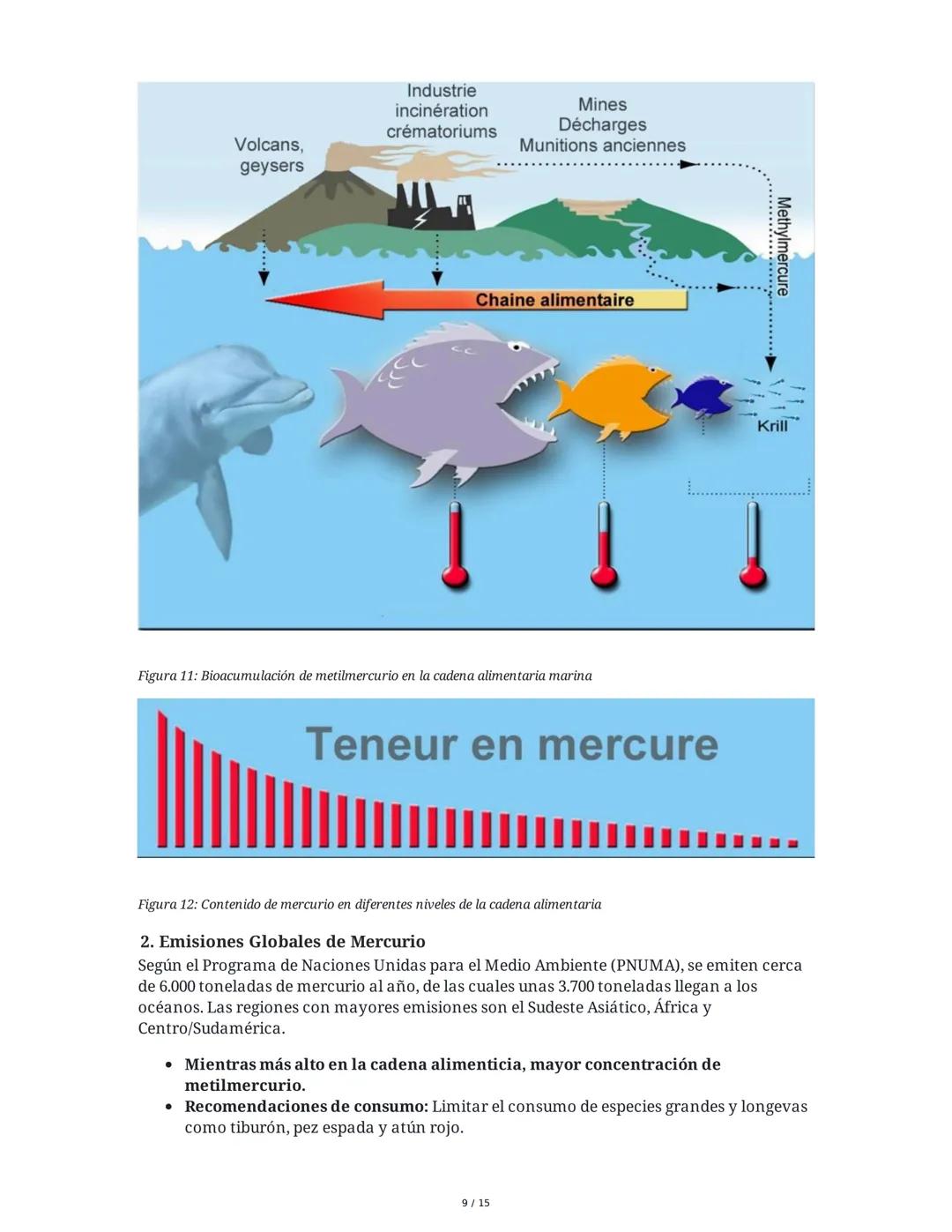 Módulo Ambiente y Sostenibilidad
Concepto: Cambio Climático
1. Impacto del Cambio Climático en el Agua del Planeta
El cambio climático afect