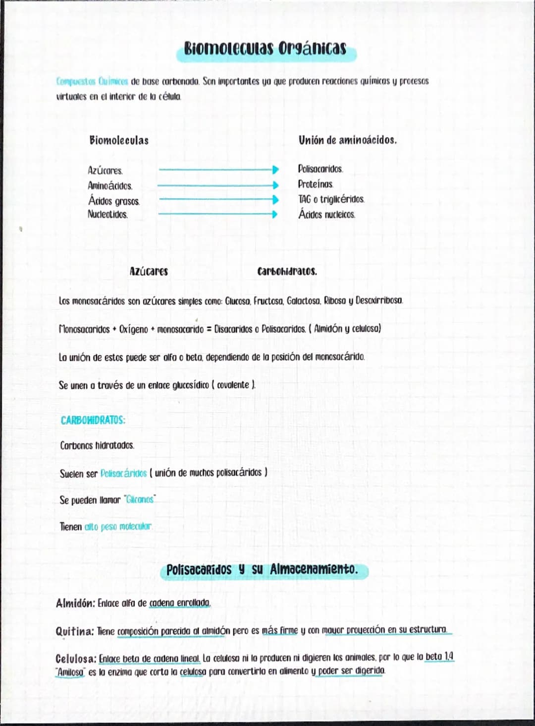Biomoléculas Orgánicas. 