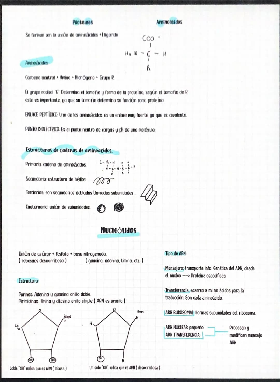 --- OCR Start ---
Biomoleculas Orgánicas
Compuestos Quimicos de base carbonado. Son importantes ya que producen reacciones químicas y proces