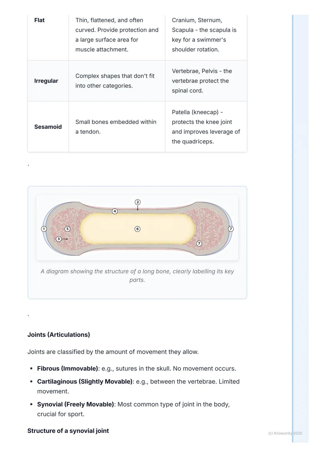 # Skeletal and Muscular
Systems

Introduction to the musculoskeletal system

Okay, so the skeletal and muscular systems work together to for