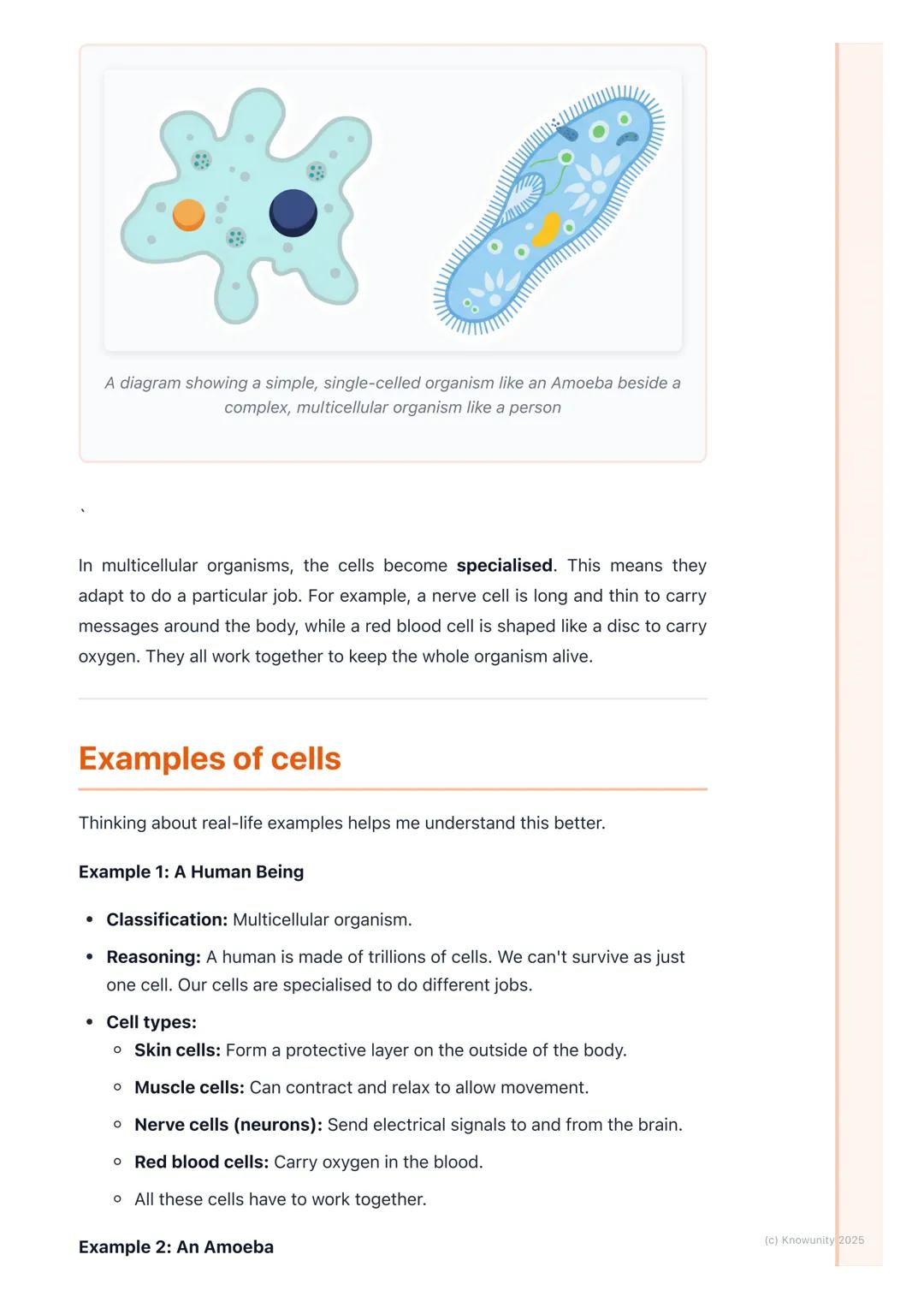 # Introduction to Cells

## An introduction to cells

All living things, from the smallest insect to the largest whale, are made up of
cells