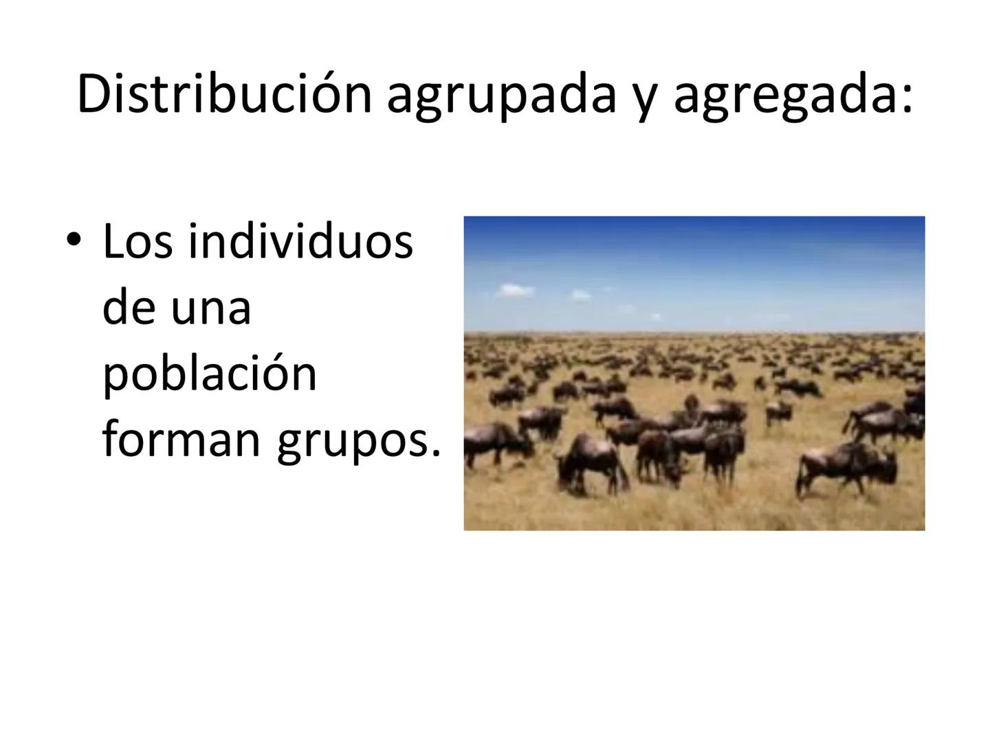 Dinámica de poblaciones y
comunidades.

Describir las características propias de una población y los factores que la regulan:
* densidad y a