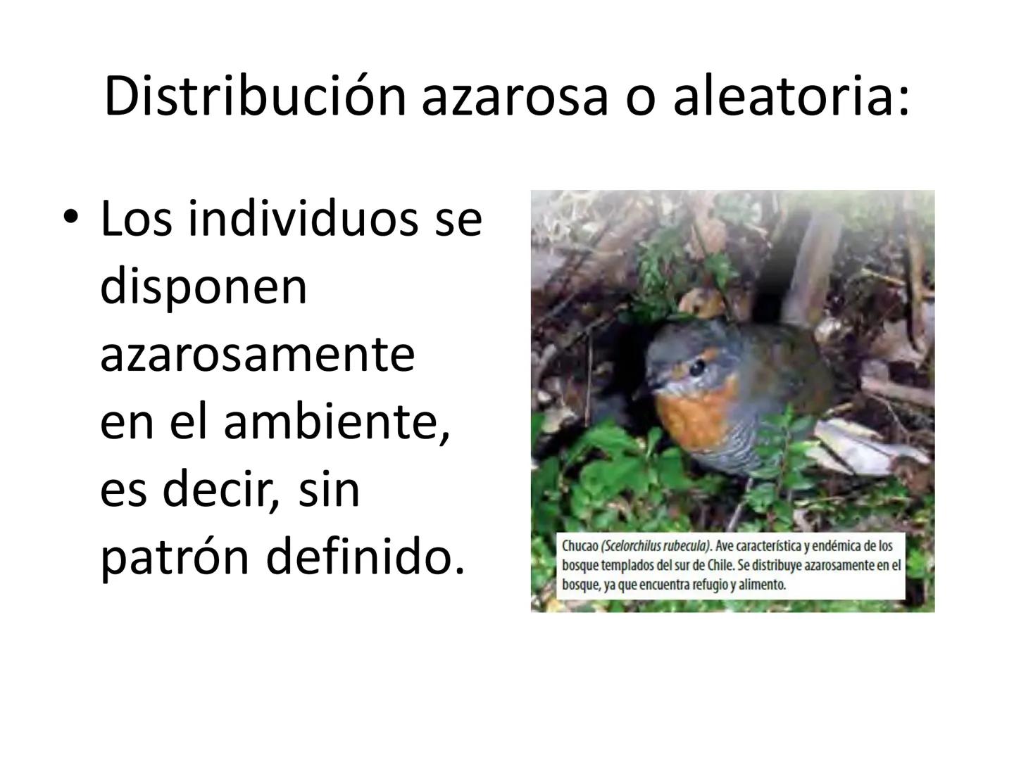 Dinámica de poblaciones y
comunidades.

Describir las características propias de una población y los factores que la regulan:
* densidad y a