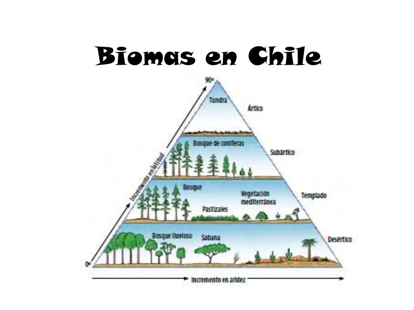Dinámica de poblaciones y
comunidades.

Describir las características propias de una población y los factores que la regulan:
* densidad y a