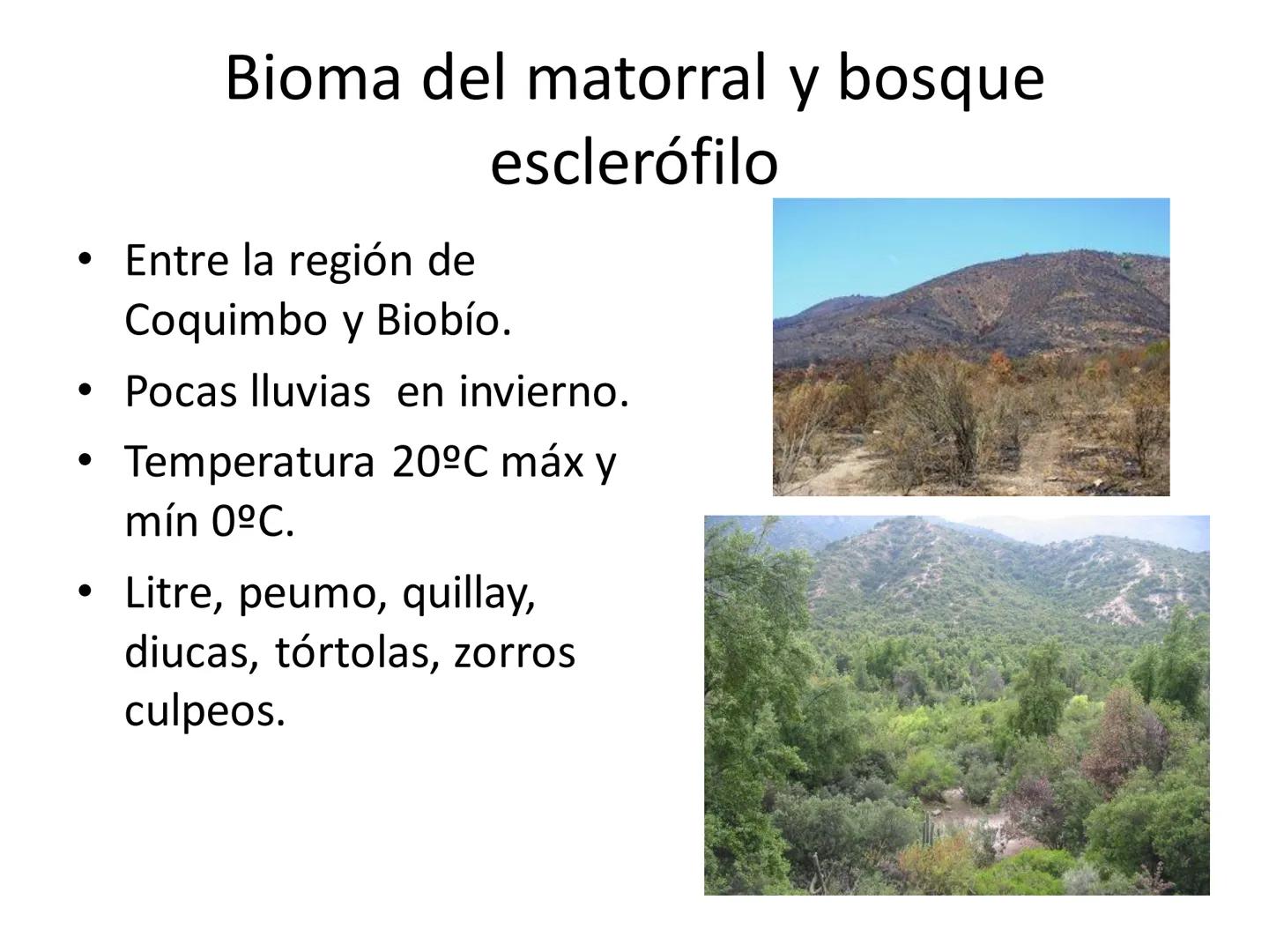 Dinámica de poblaciones y
comunidades.

Describir las características propias de una población y los factores que la regulan:
* densidad y a