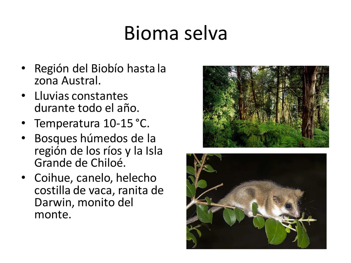 Dinámica de poblaciones y
comunidades.

Describir las características propias de una población y los factores que la regulan:
* densidad y a