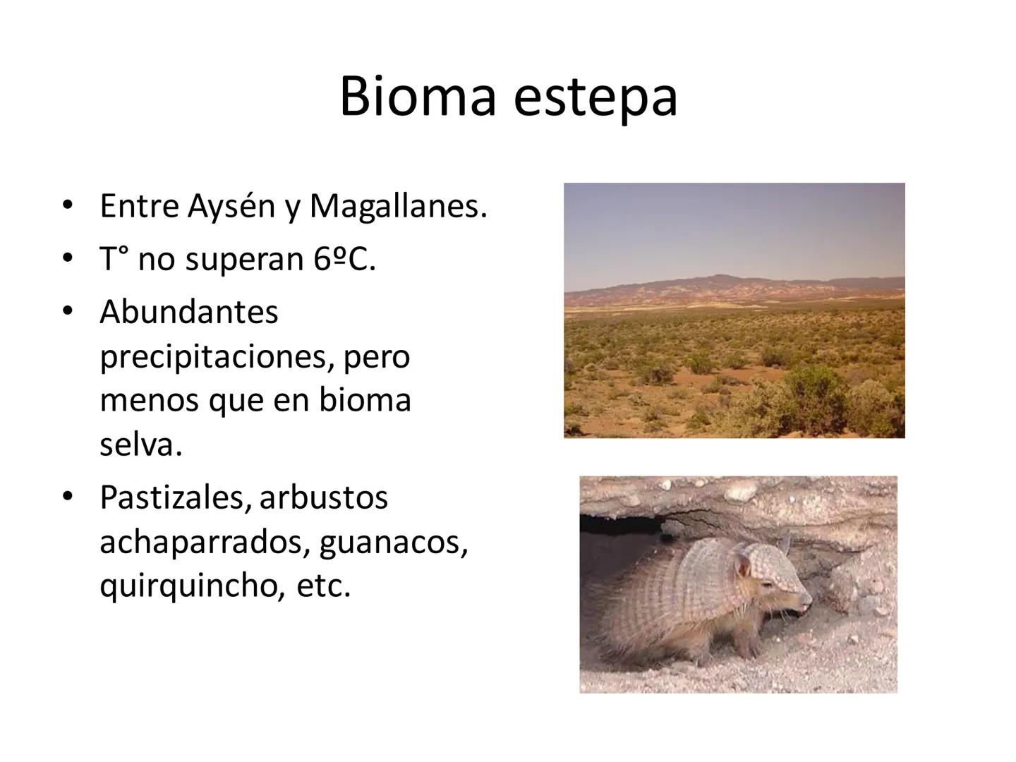 Dinámica de poblaciones y
comunidades.

Describir las características propias de una población y los factores que la regulan:
* densidad y a
