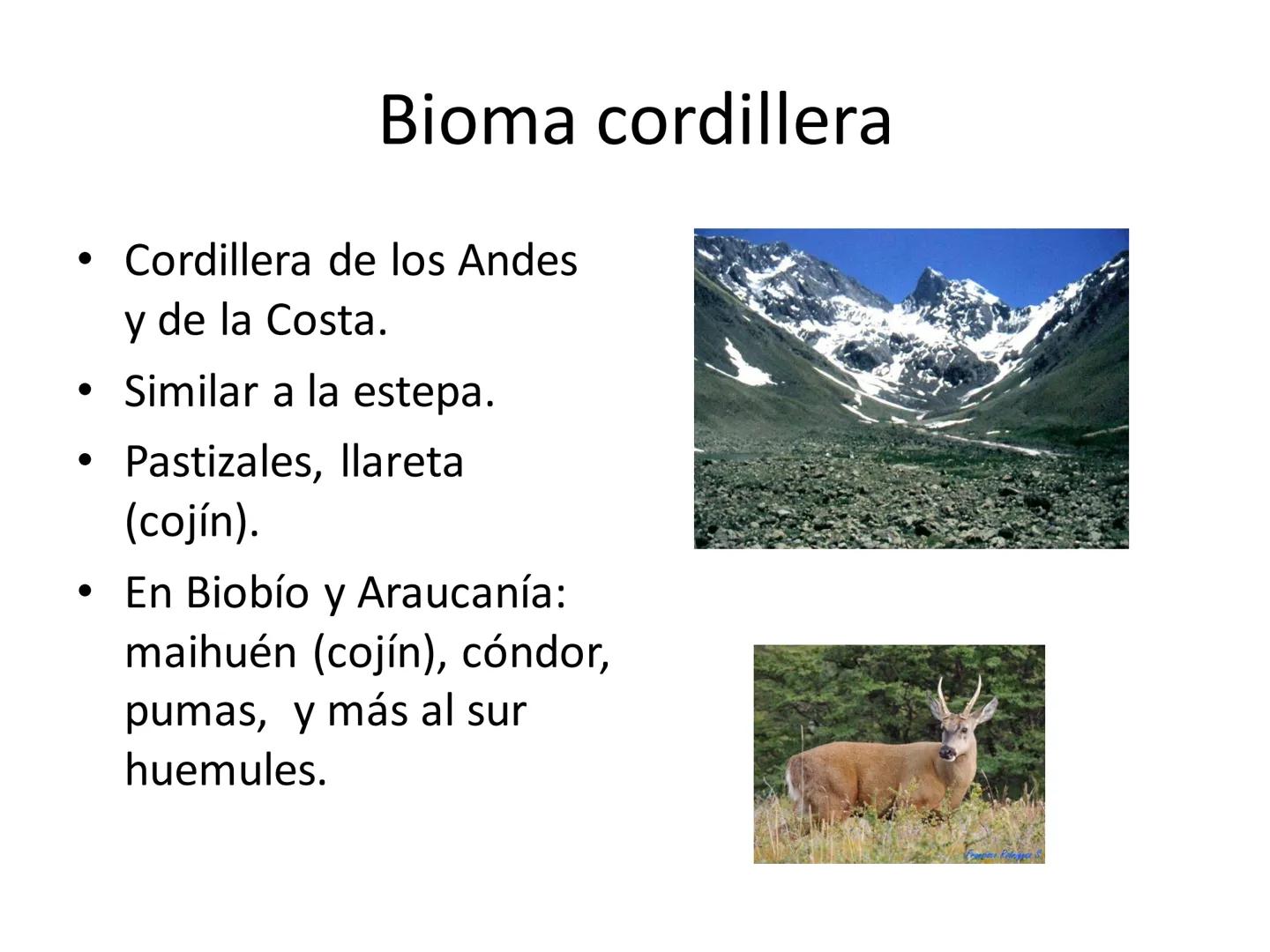 Dinámica de poblaciones y
comunidades.

Describir las características propias de una población y los factores que la regulan:
* densidad y a