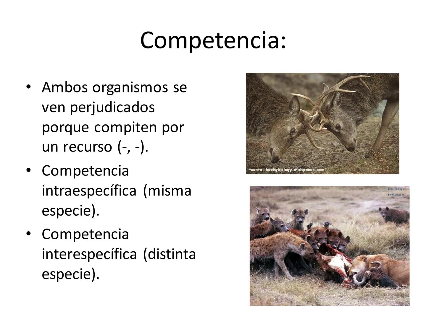 Dinámica de poblaciones y
comunidades.

Describir las características propias de una población y los factores que la regulan:
* densidad y a