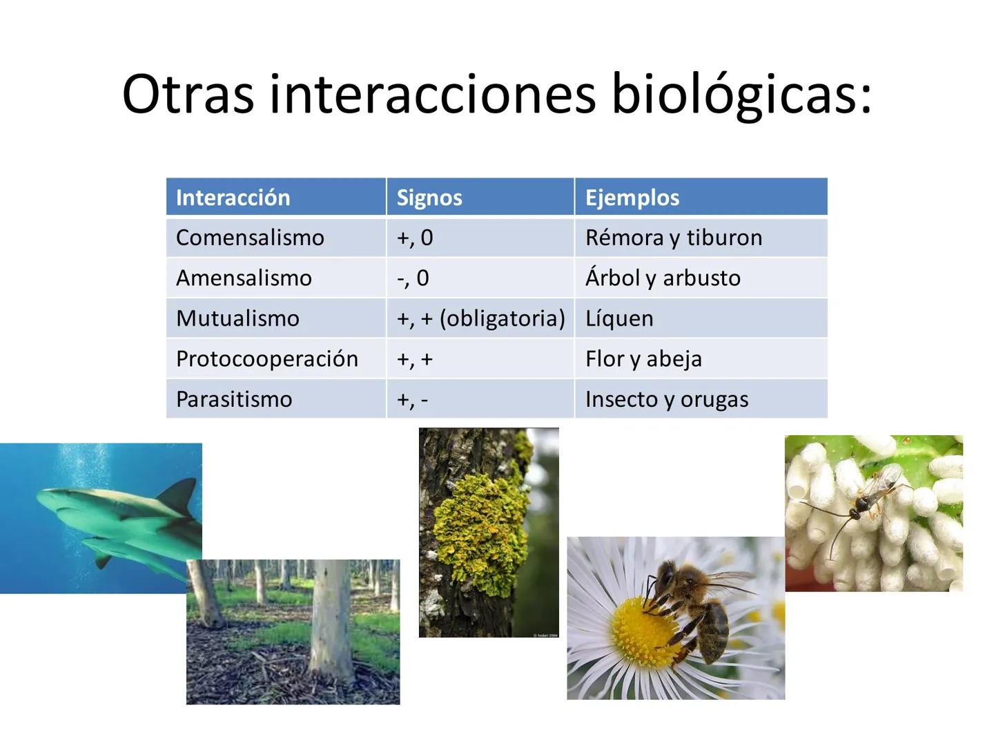 Dinámica de poblaciones y
comunidades.

Describir las características propias de una población y los factores que la regulan:
* densidad y a
