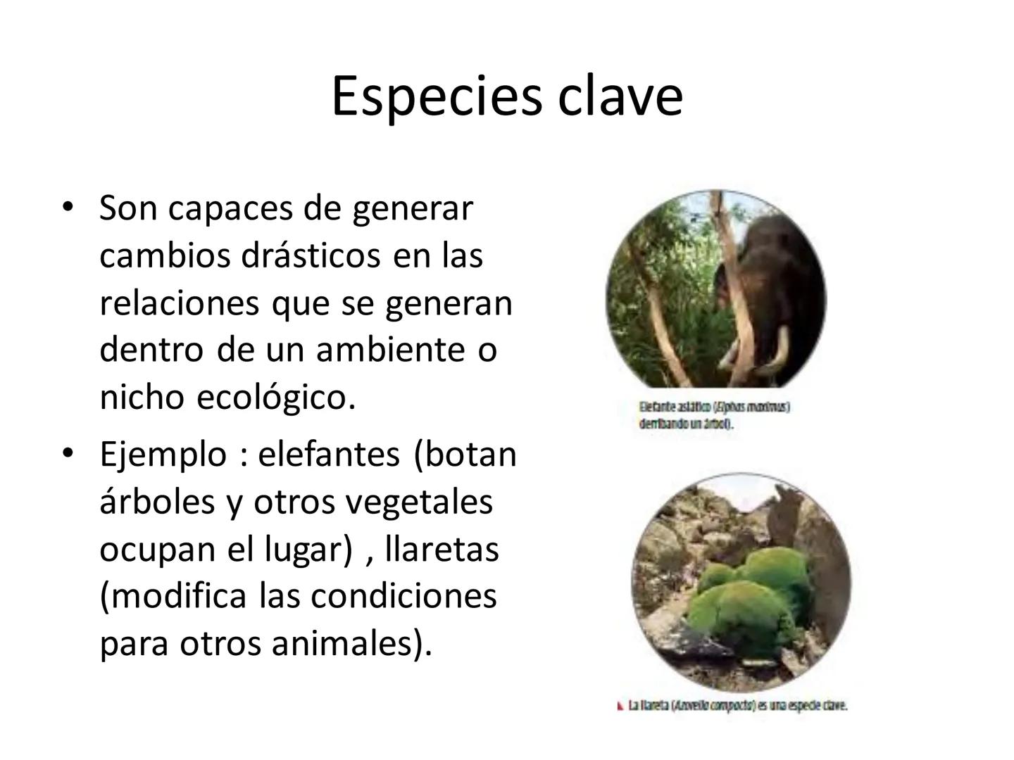 Dinámica de poblaciones y
comunidades.

Describir las características propias de una población y los factores que la regulan:
* densidad y a