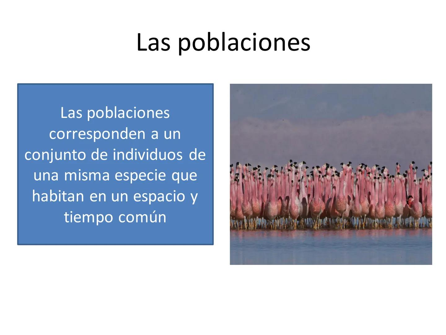 Dinámica de poblaciones y
comunidades.

Describir las características propias de una población y los factores que la regulan:
* densidad y a