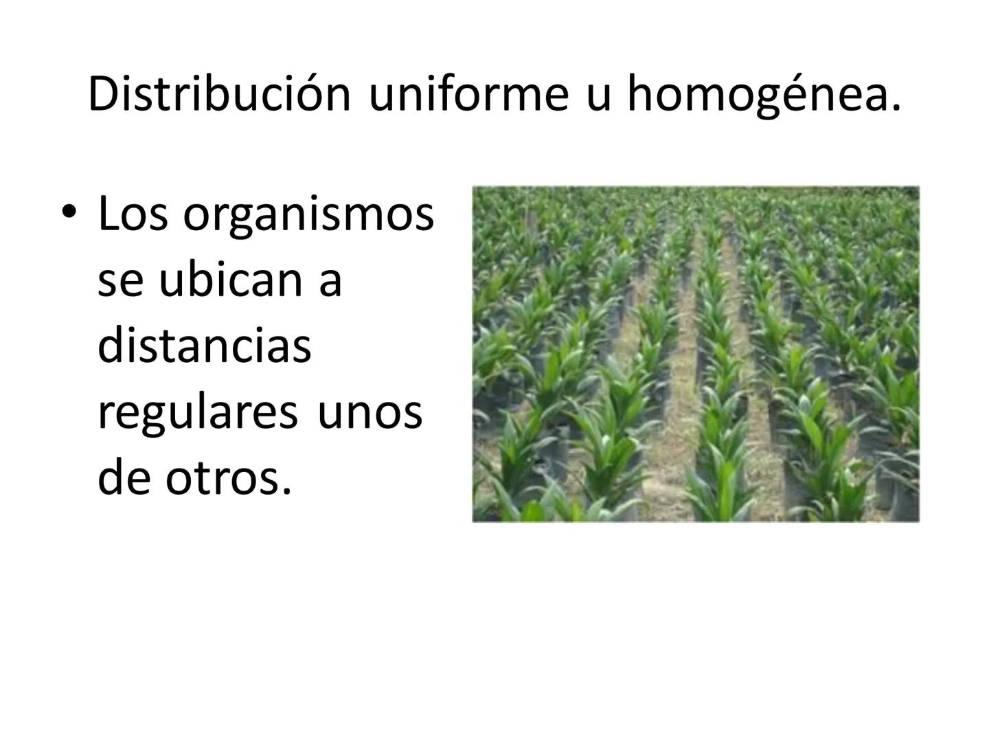 Dinámica de poblaciones y
comunidades.

Describir las características propias de una población y los factores que la regulan:
* densidad y a