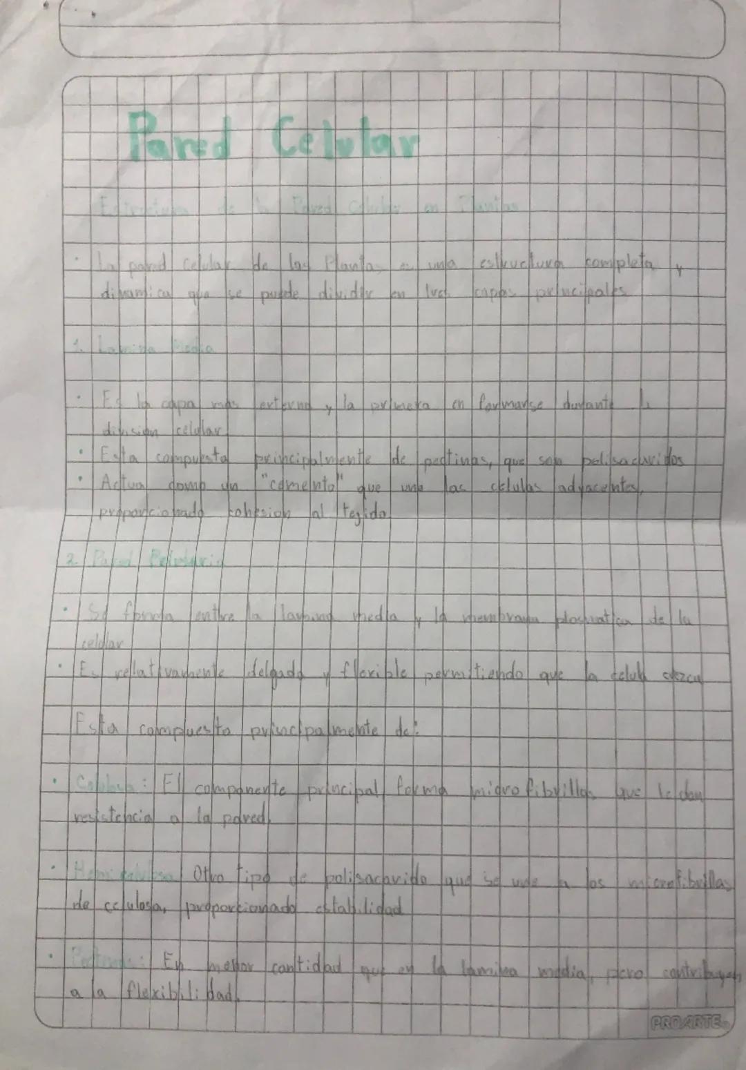 ## Pared Celular

* La pared celular de las plantas es una estructura completa y dinámica que se puede dividir en dos capas principales

* E