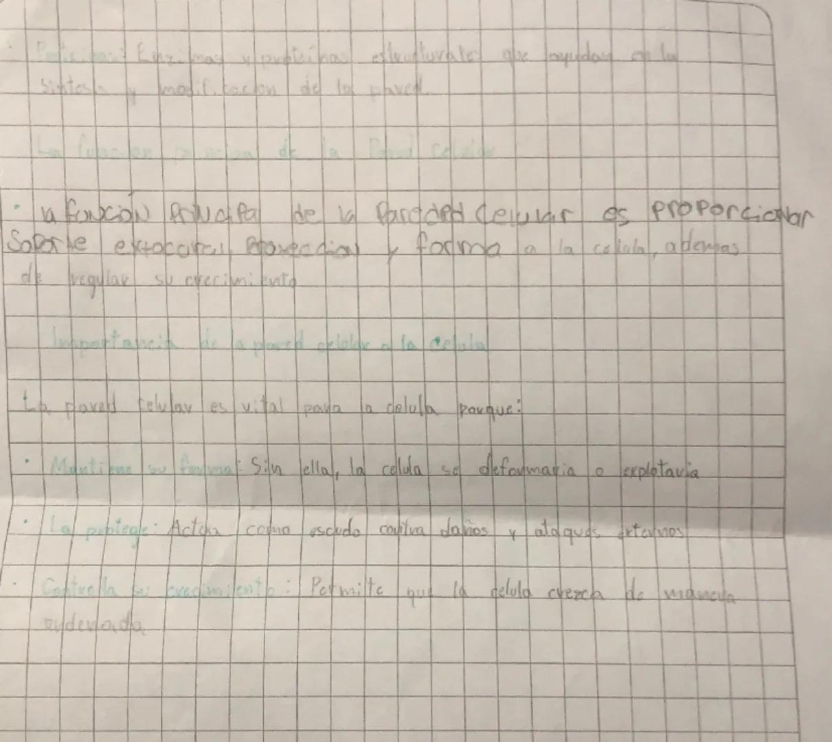 ## Pared Celular

* La pared celular de las plantas es una estructura completa y dinámica que se puede dividir en dos capas principales

* E