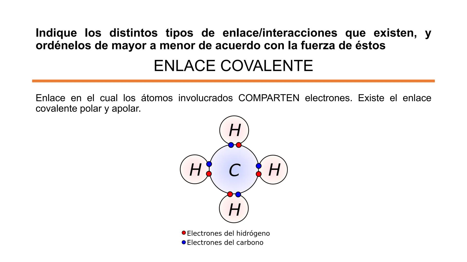 ## Pontificia Universidad Católica de Chile

Facultad de Ciencias Biológicas
Departamento de Biología Celular y Molecular
BIO141C-4

# Ayuda
