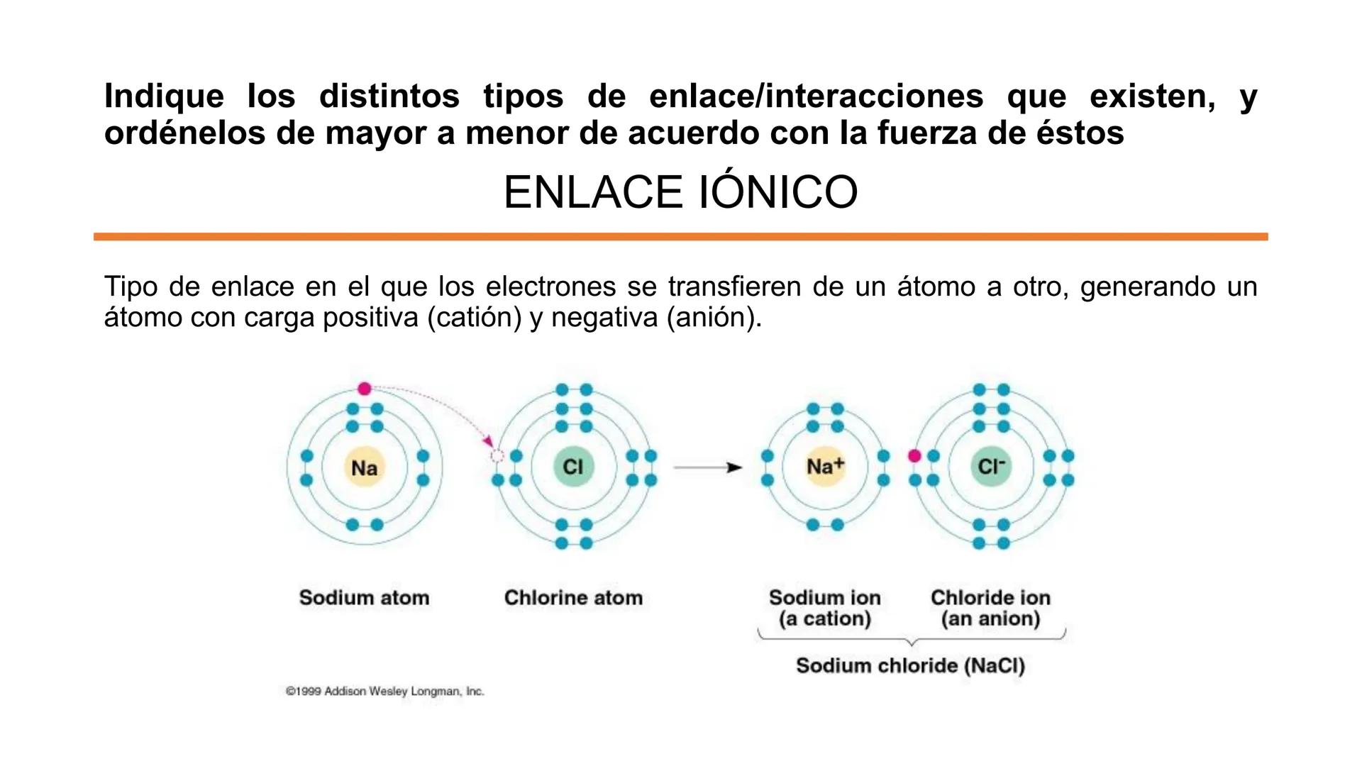 ## Pontificia Universidad Católica de Chile

Facultad de Ciencias Biológicas
Departamento de Biología Celular y Molecular
BIO141C-4

# Ayuda