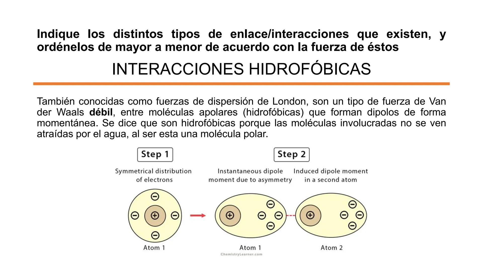 ## Pontificia Universidad Católica de Chile

Facultad de Ciencias Biológicas
Departamento de Biología Celular y Molecular
BIO141C-4

# Ayuda