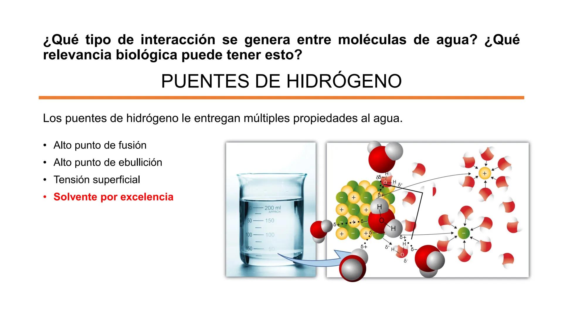 ## Pontificia Universidad Católica de Chile

Facultad de Ciencias Biológicas
Departamento de Biología Celular y Molecular
BIO141C-4

# Ayuda