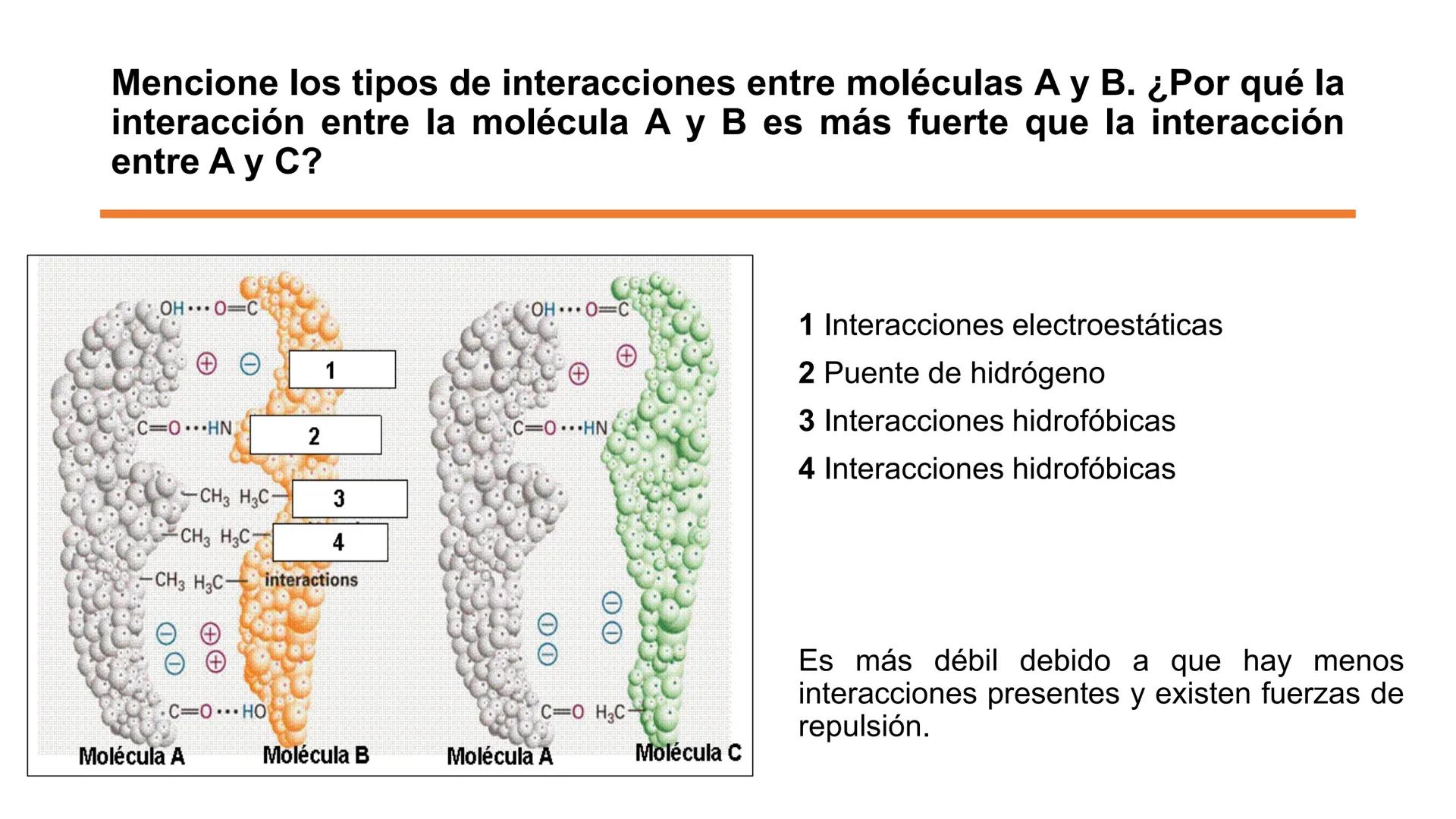 ## Pontificia Universidad Católica de Chile

Facultad de Ciencias Biológicas
Departamento de Biología Celular y Molecular
BIO141C-4

# Ayuda
