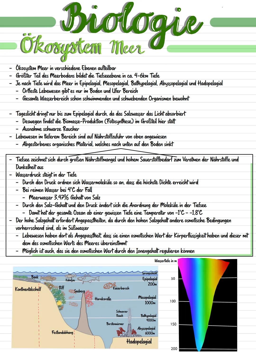 # Biologie

# Ökosystem Meer

- Ökosystem Meer in verschiedene Ebenen aufteilbar
- Größter Teil des Meerbodens bildet die Tiefseeebene in ca