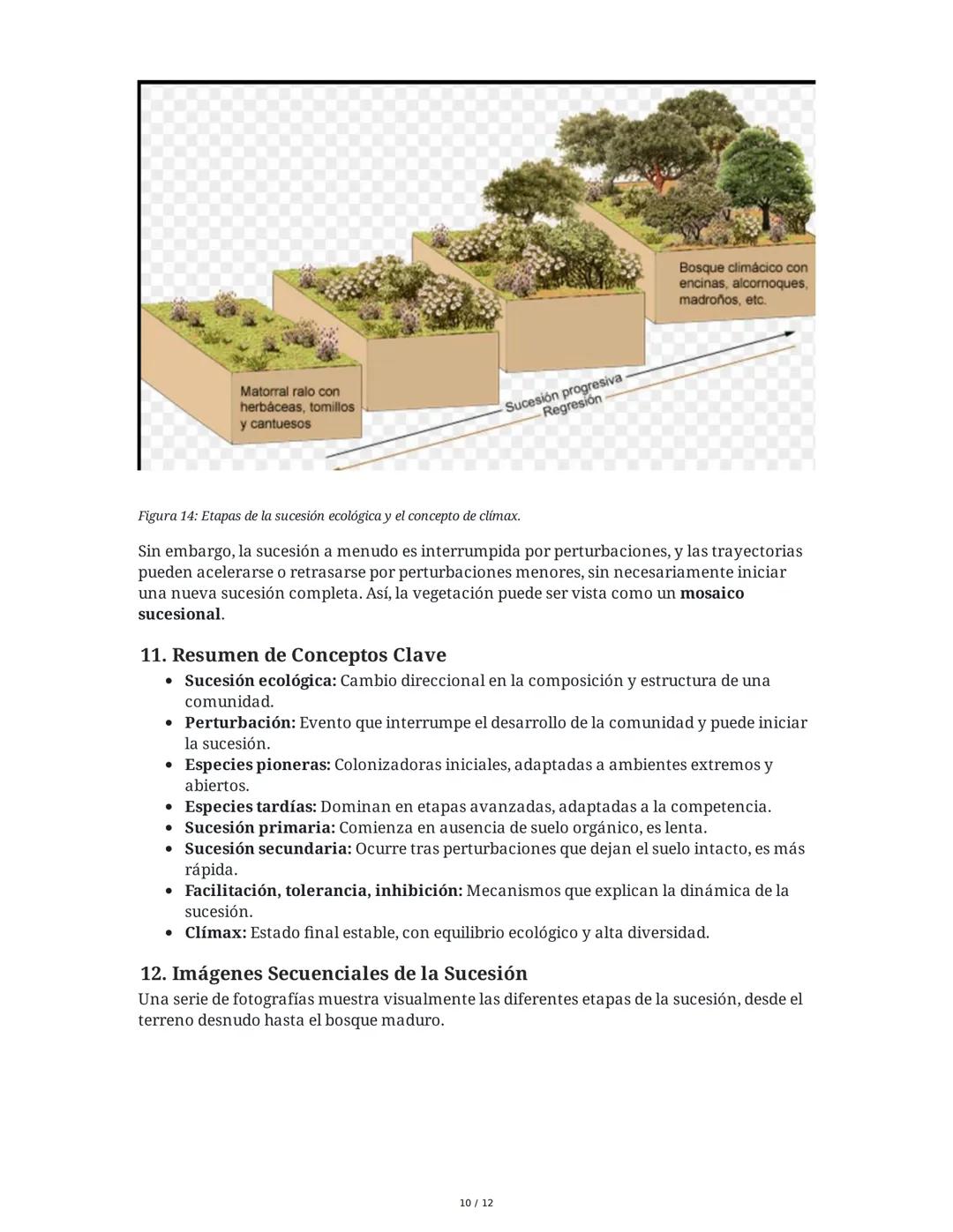 --- OCR Start ---
Sucesión Ecológica
1. Introducción a la Sucesión Ecológica
La sucesión ecológica es el proceso de cambio direccional en la