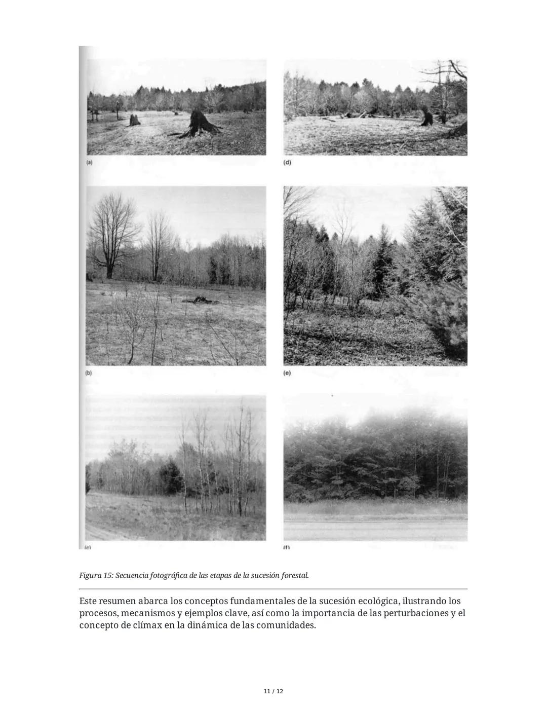 --- OCR Start ---
Sucesión Ecológica
1. Introducción a la Sucesión Ecológica
La sucesión ecológica es el proceso de cambio direccional en la