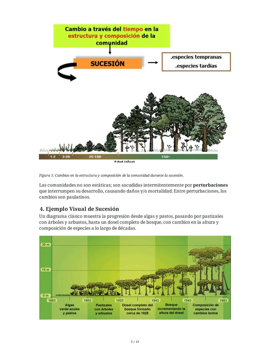 --- OCR Start ---
Sucesión Ecológica
1. Introducción a la Sucesión Ecológica
La sucesión ecológica es el proceso de cambio direccional en la