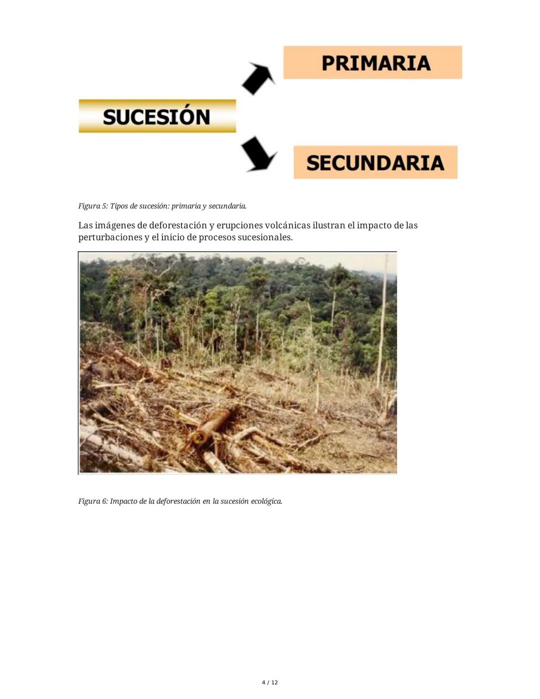 --- OCR Start ---
Sucesión Ecológica
1. Introducción a la Sucesión Ecológica
La sucesión ecológica es el proceso de cambio direccional en la