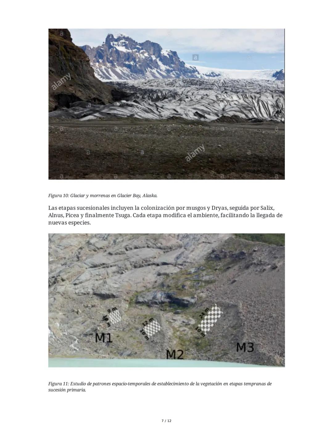 --- OCR Start ---
Sucesión Ecológica
1. Introducción a la Sucesión Ecológica
La sucesión ecológica es el proceso de cambio direccional en la