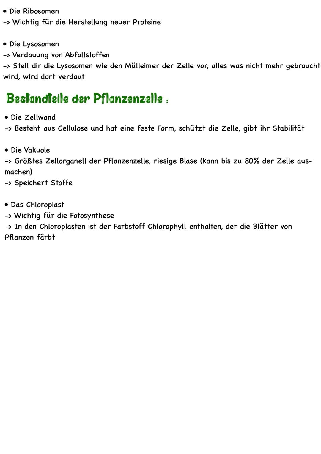 # Die Zelle

AUFBAU DER TIERISCHEN UND PFLANZLICHEN ZELLE

Alle Lebewesen bestehen aus Zellen und ihren Produkten. Aufgrund zellulärer Unter