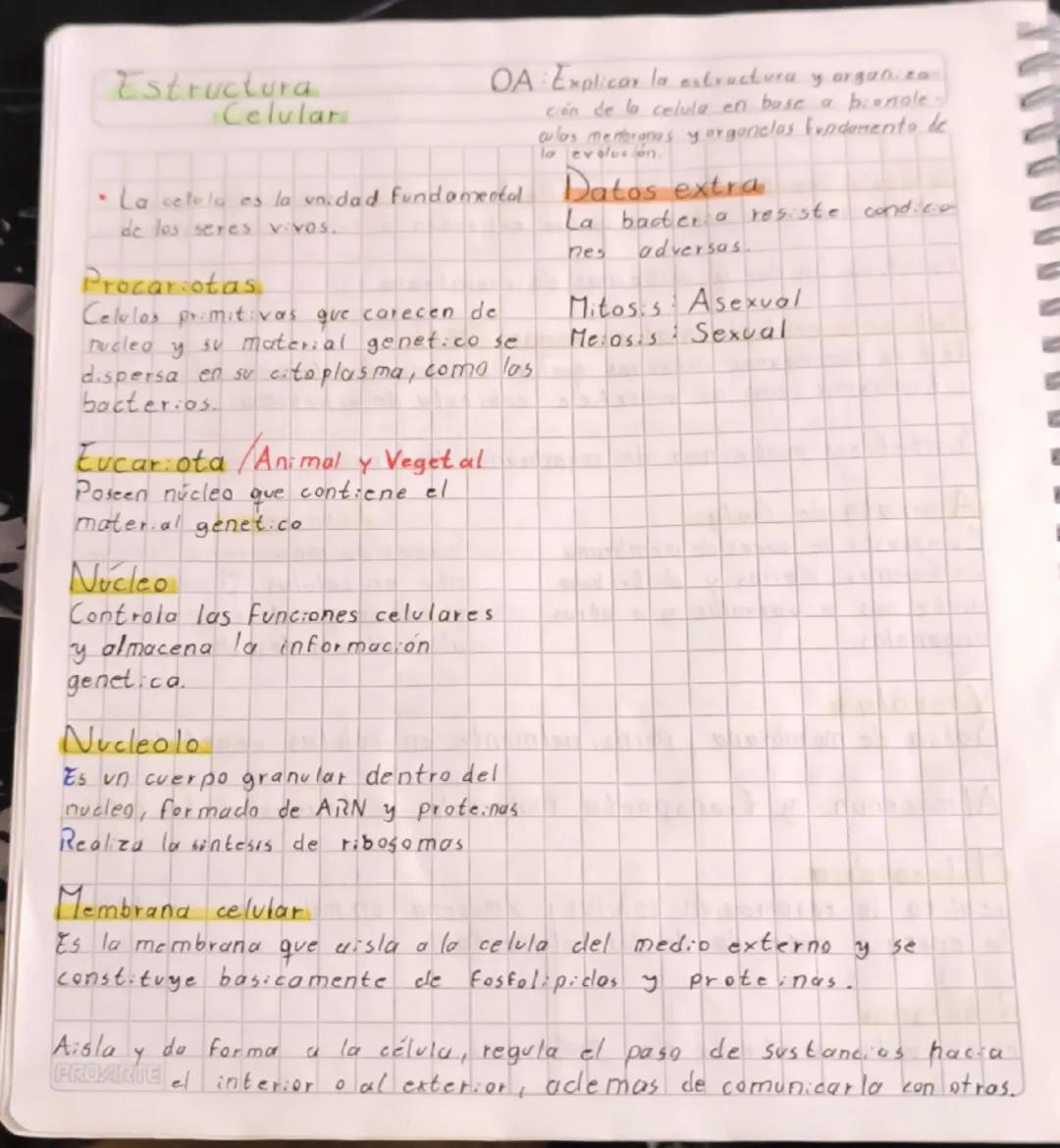 Conoce la Estructura Celular