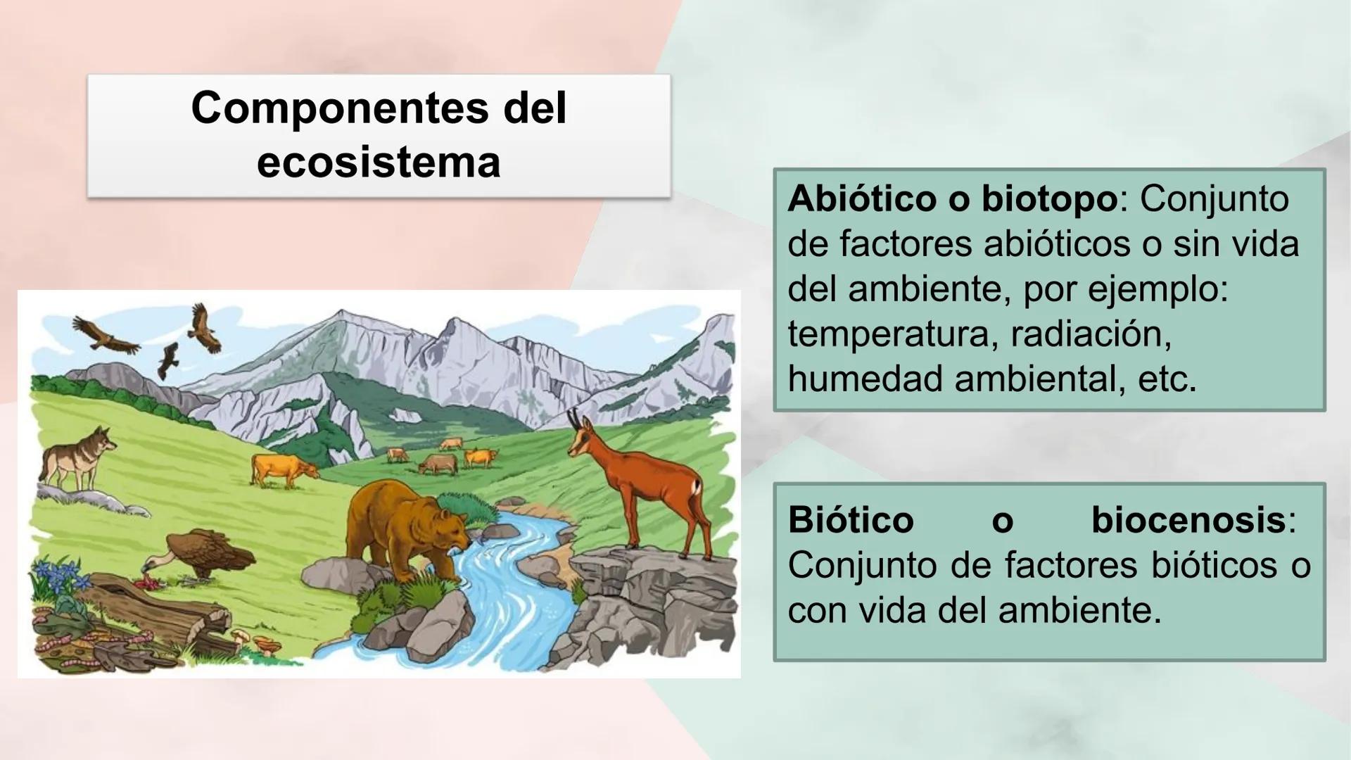 Objetivo de la clase:
• Comprender que, en el
ecosistema, los organismos
ocupan niveles tróficos de
acuerdo con el modo en que
obtienen su a