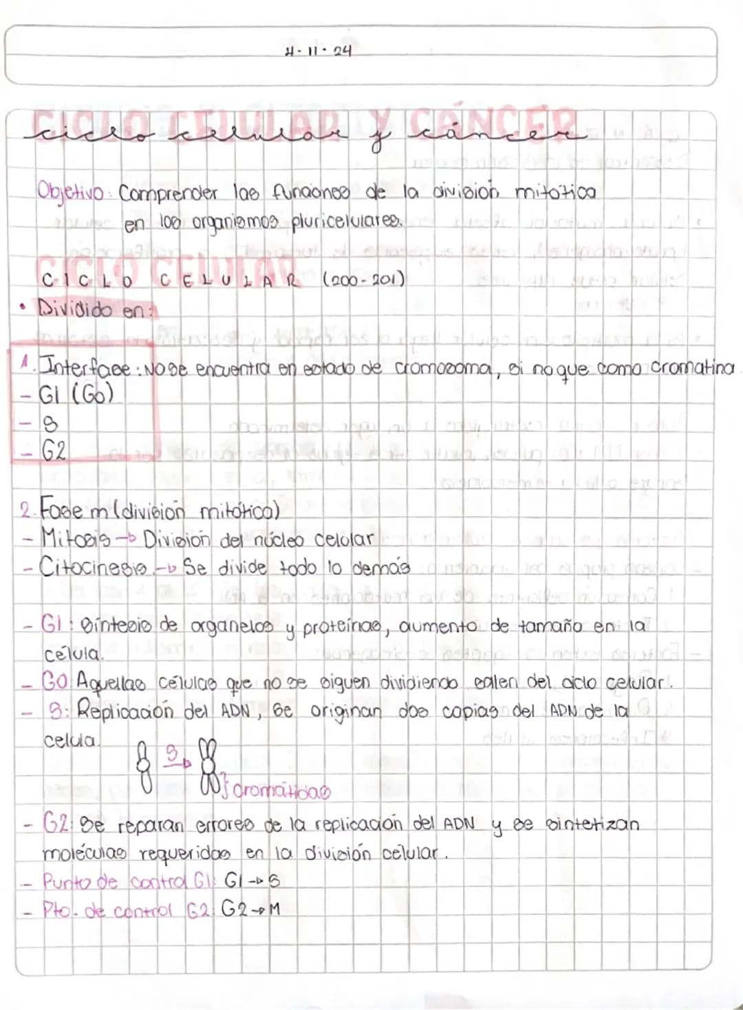 4-11-24
Leander
у
U
A
•
Objetivo: Comprender las funciones de la division mitotica
CICL
en 100 organismos pluricelulares.
CICLO CELULAR (200