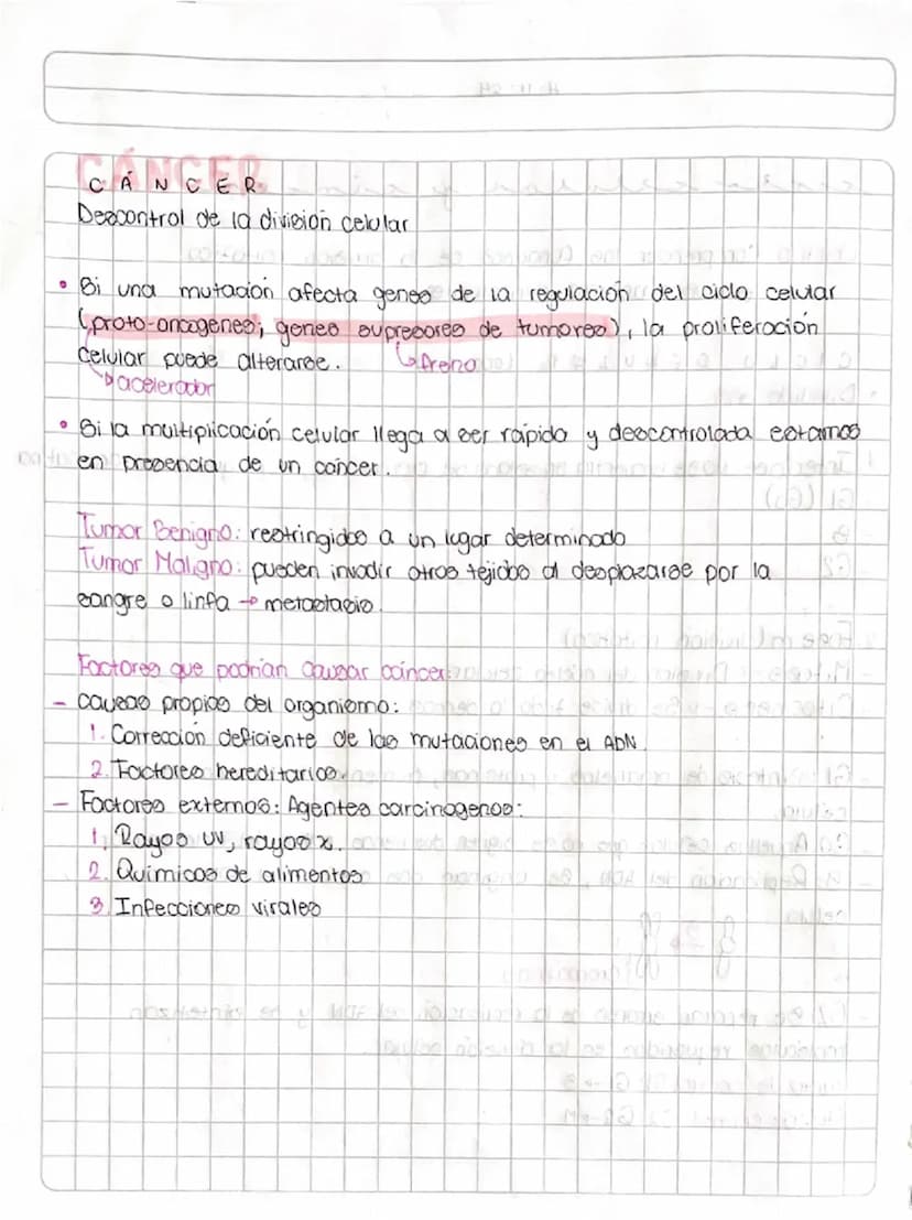 4-11-24
Leander
у
U
A
•
Objetivo: Comprender las funciones de la division mitotica
CICL
en 100 organismos pluricelulares.
CICLO CELULAR (200