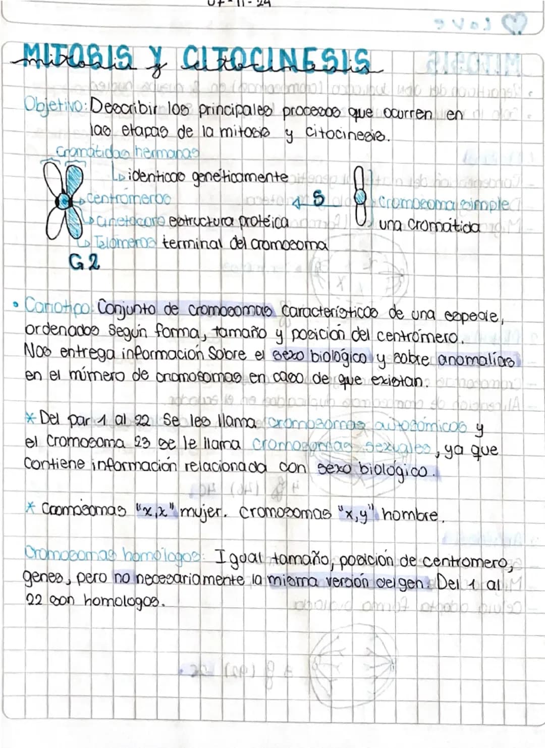 4-11-24
Leander
у
U
A
•
Objetivo: Comprender las funciones de la division mitotica
CICL
en 100 organismos pluricelulares.
CICLO CELULAR (200