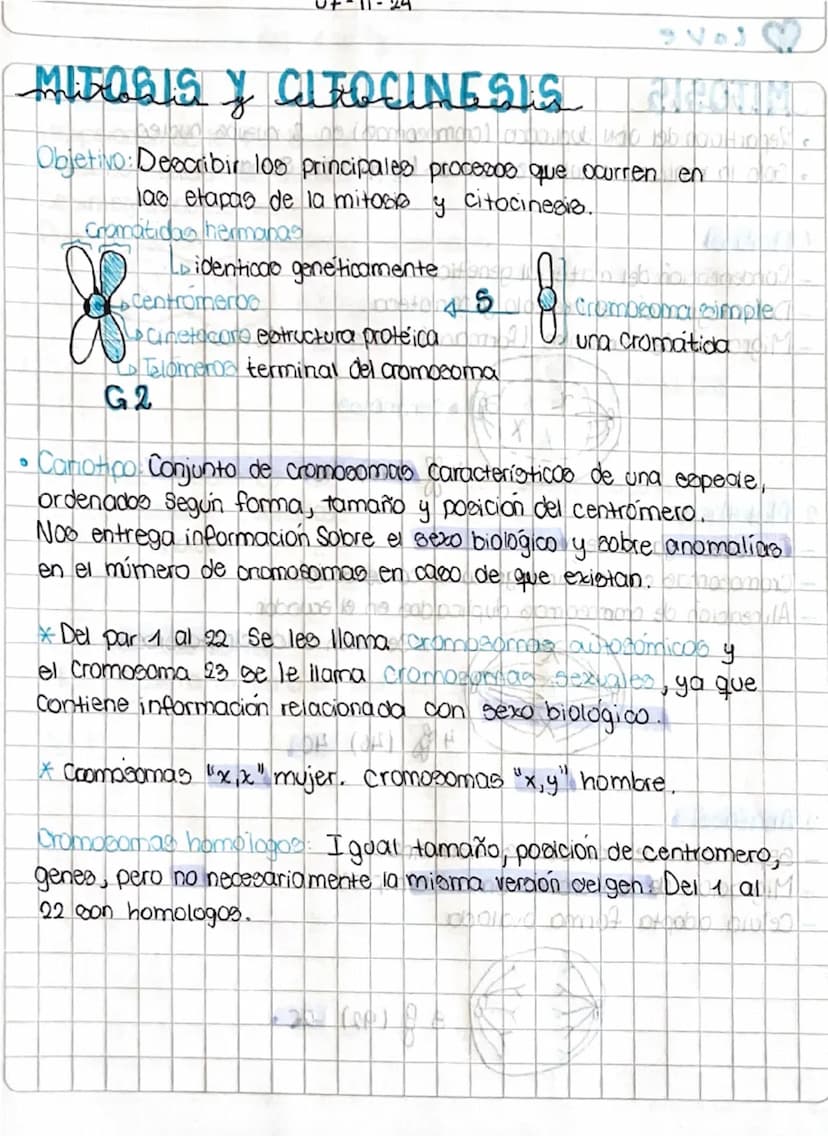 4-11-24
Leander
у
U
A
•
Objetivo: Comprender las funciones de la division mitotica
CICL
en 100 organismos pluricelulares.
CICLO CELULAR (200